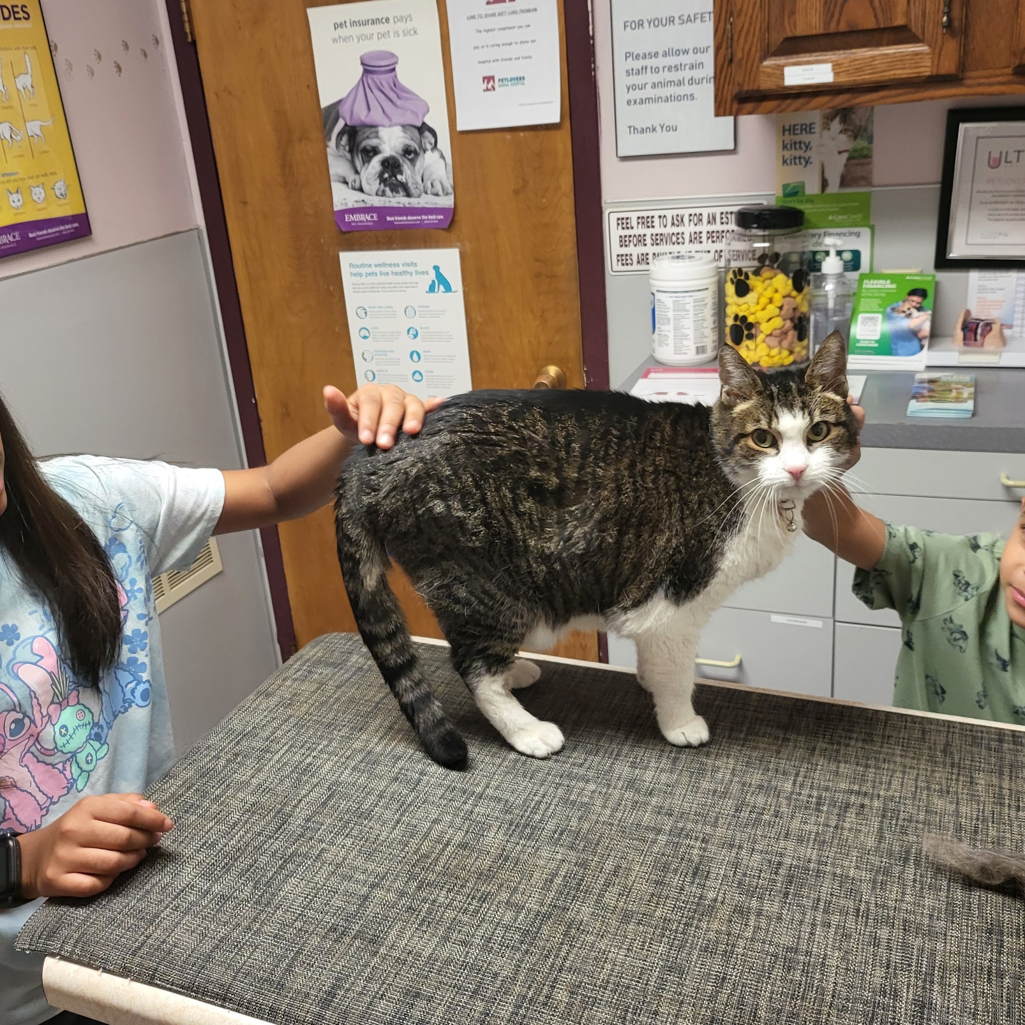 Petlovers Animal Hospital Reynoldsburg