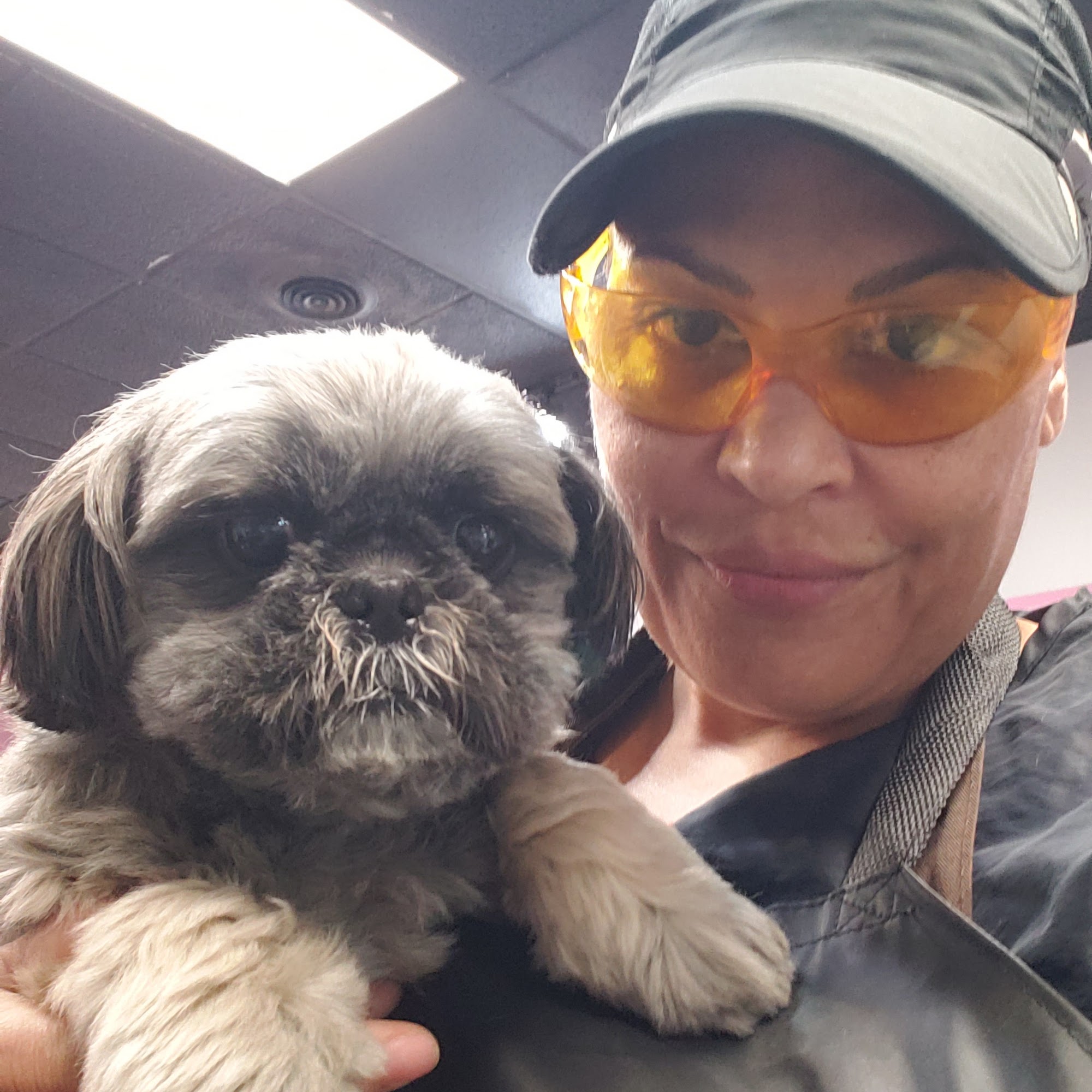 Doggy Styles Reynoldsburg