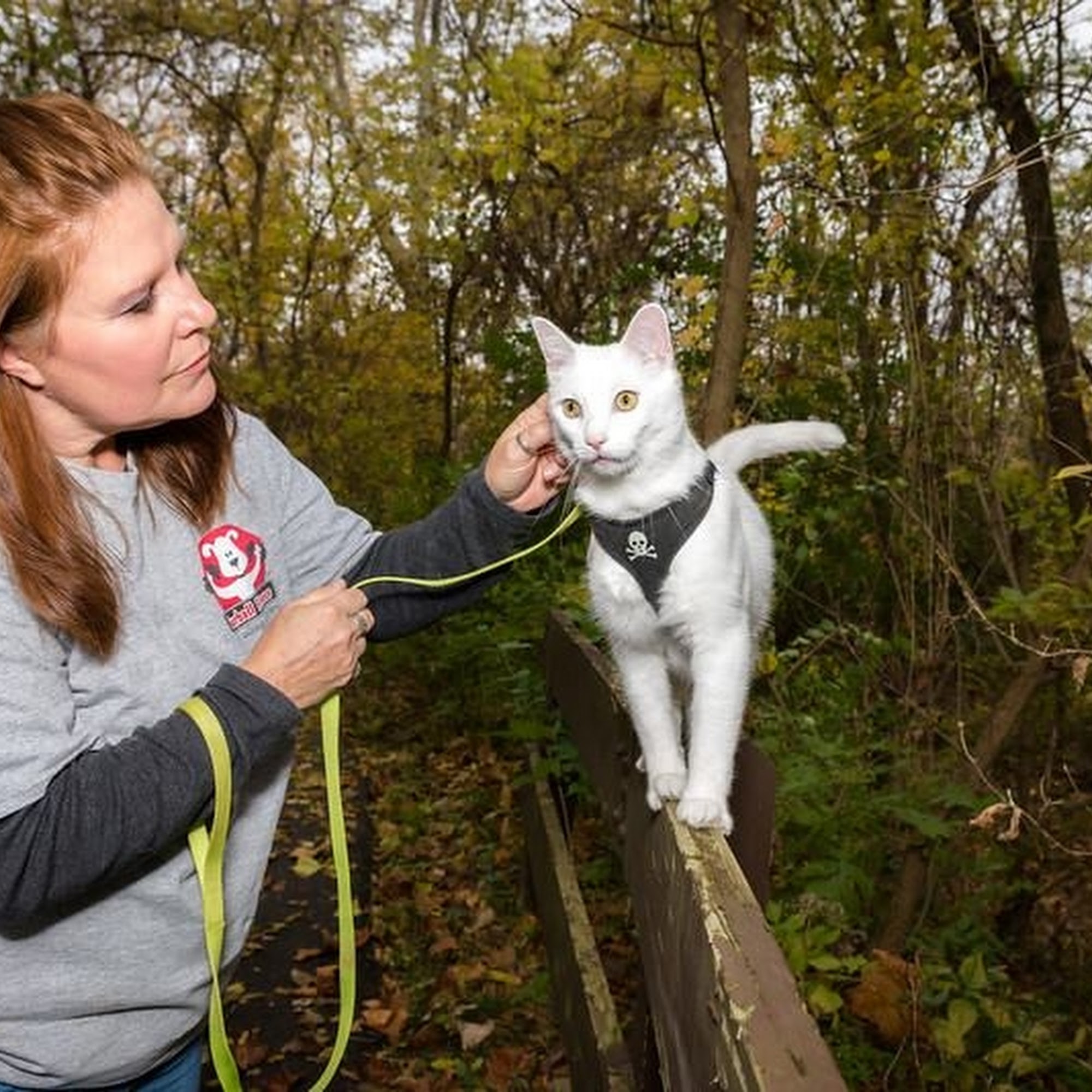 Furball Fitness Pet Daycare Resort & Spa Reynoldsburg