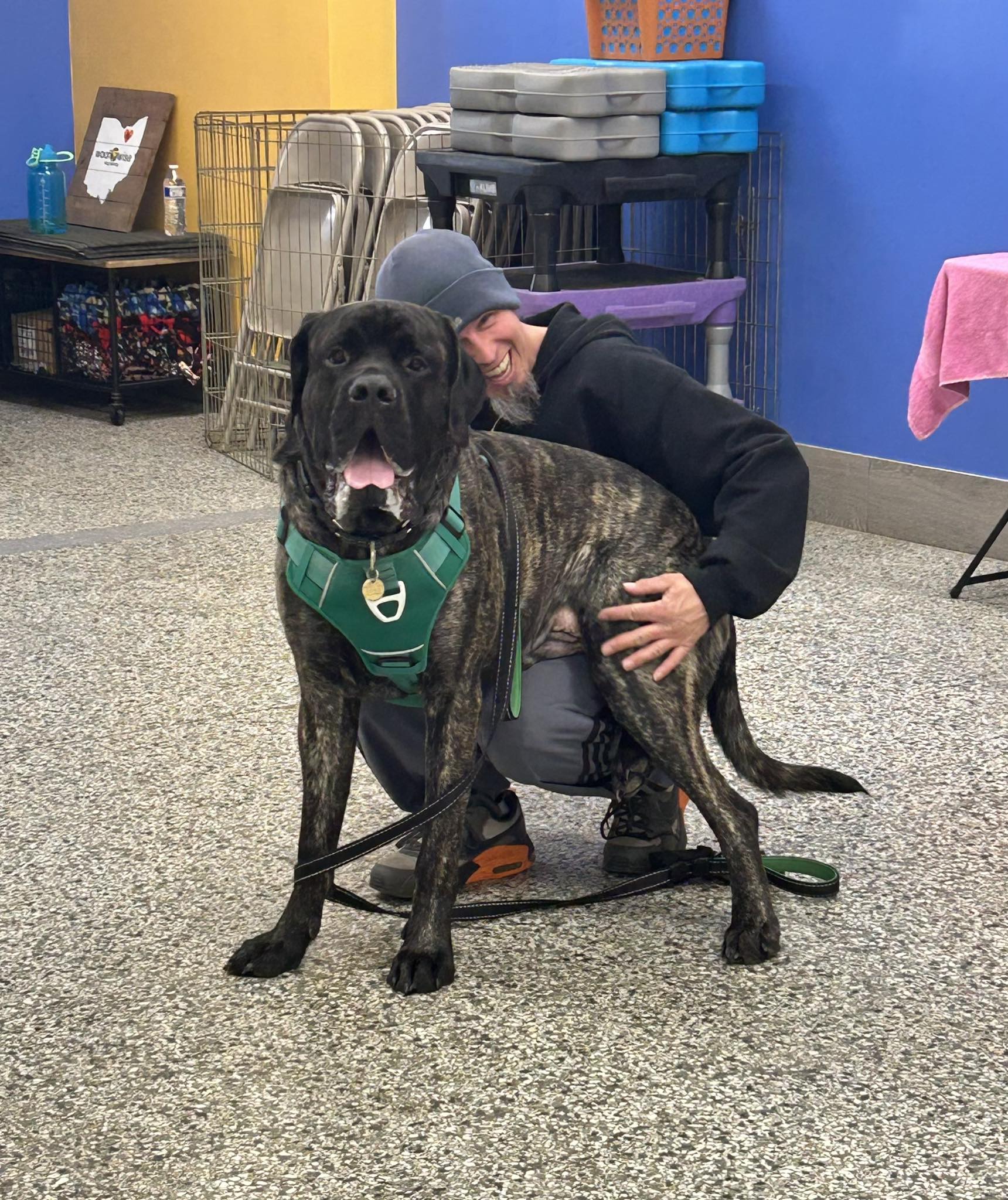 Woof Wise Dog Training Richfield