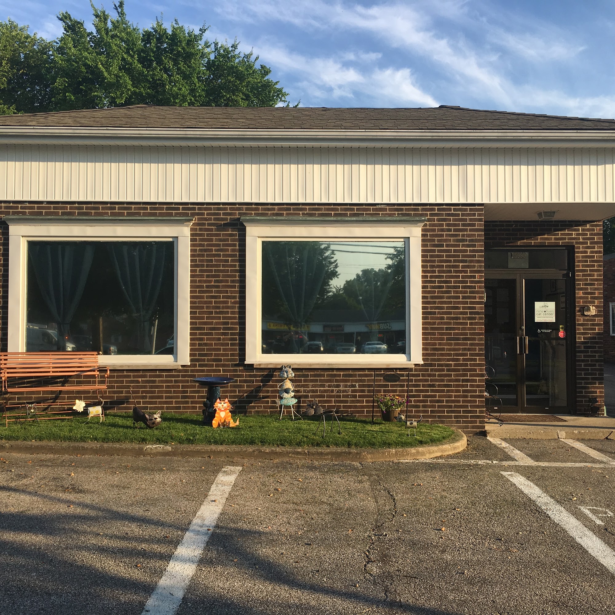 Nine Lives Cat Center Richmond Heights