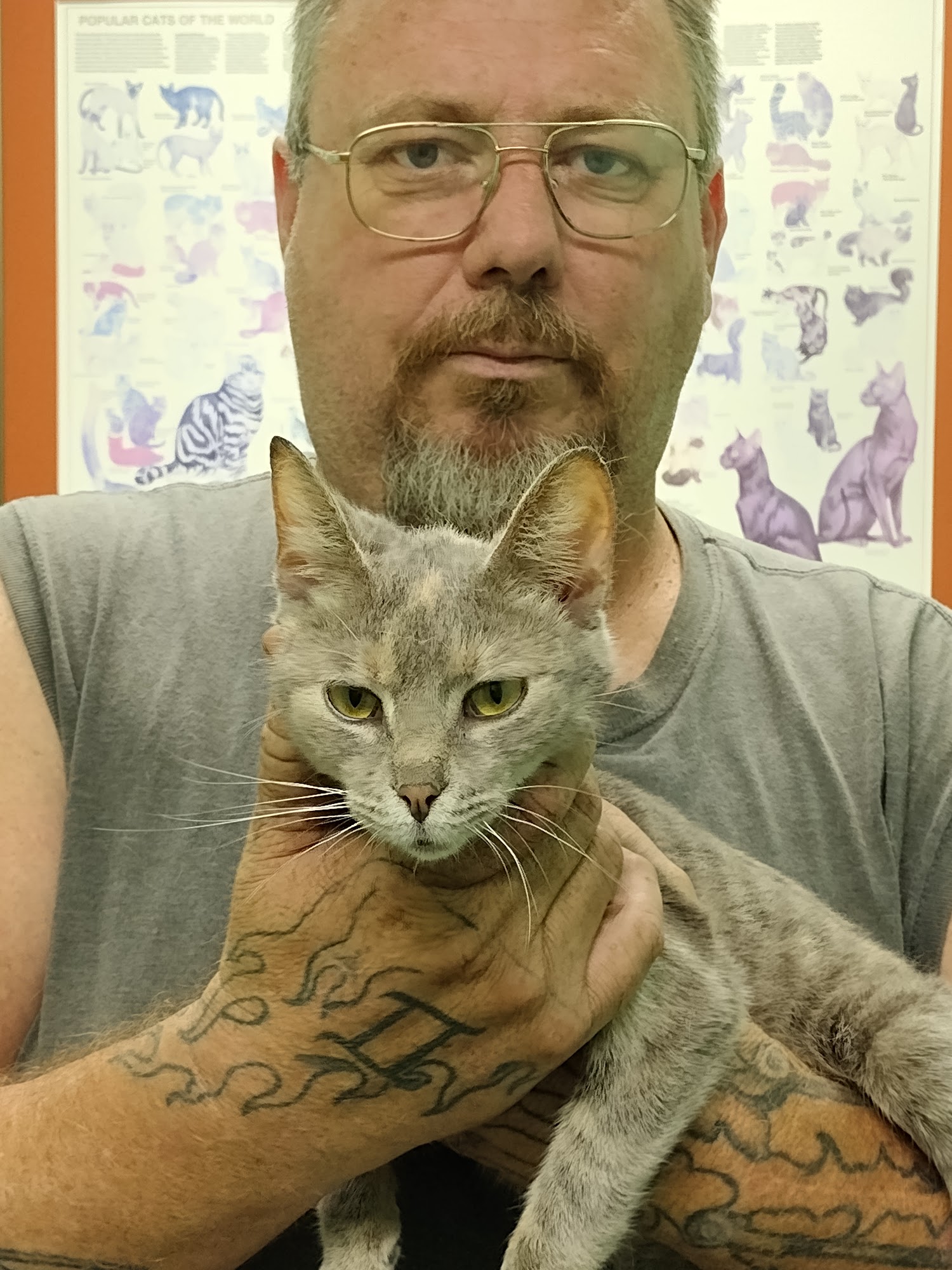 Sandusky Animal Hospital Sandusky