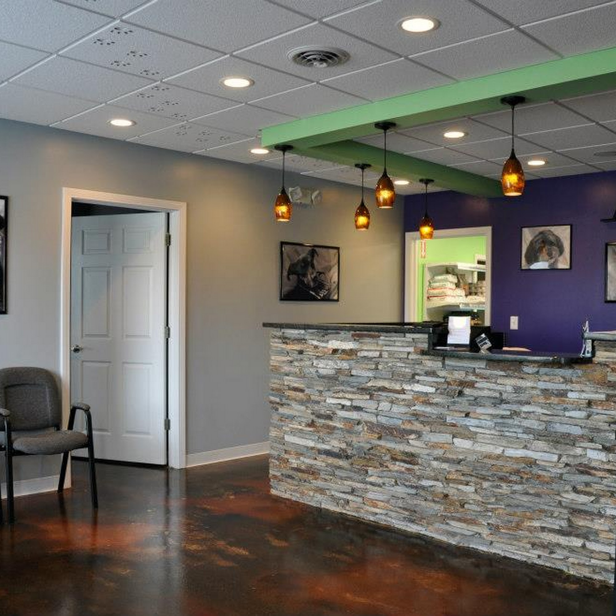 Greystone Veterinary Hospital + Urgent Care Seven Hills