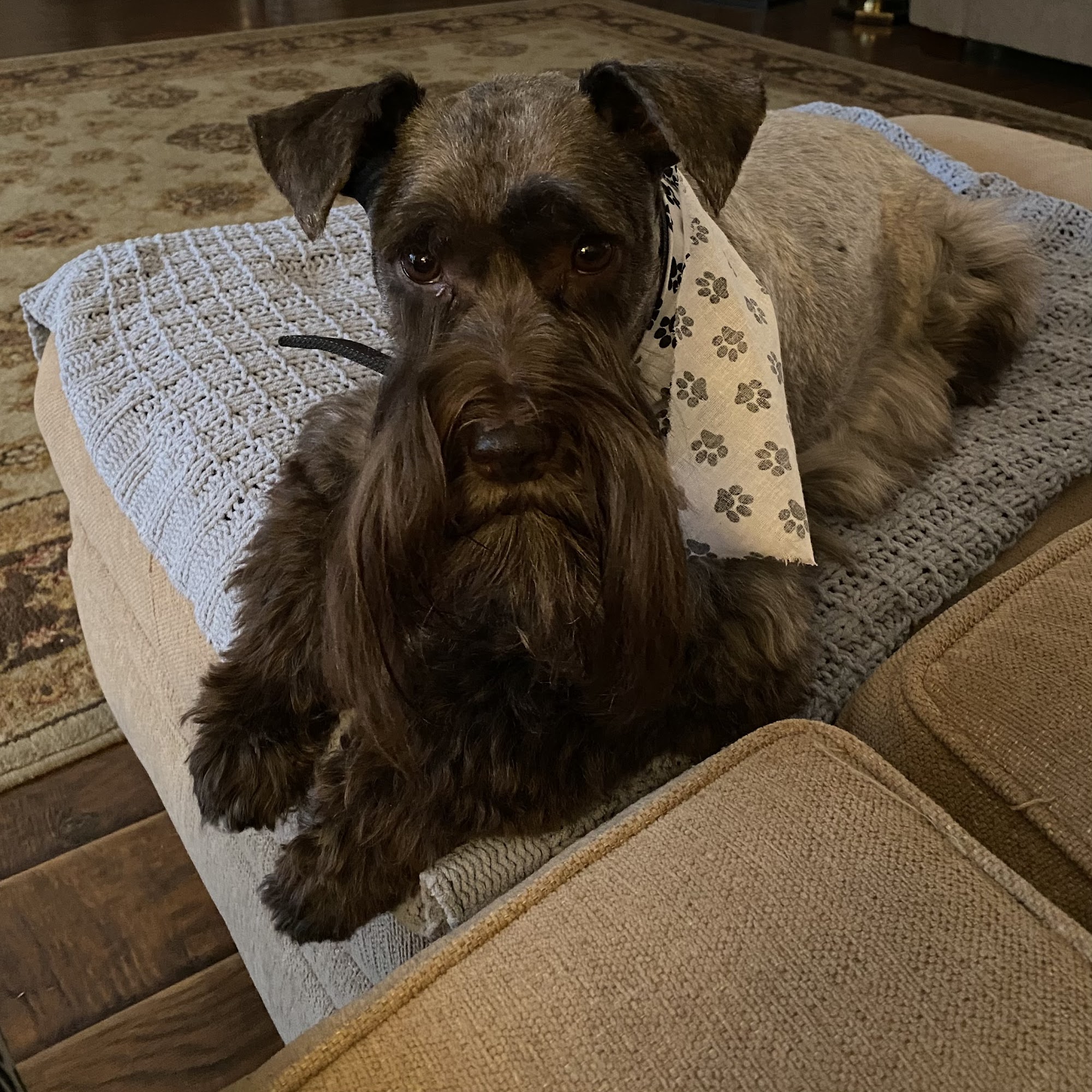 Woof House Sheffield