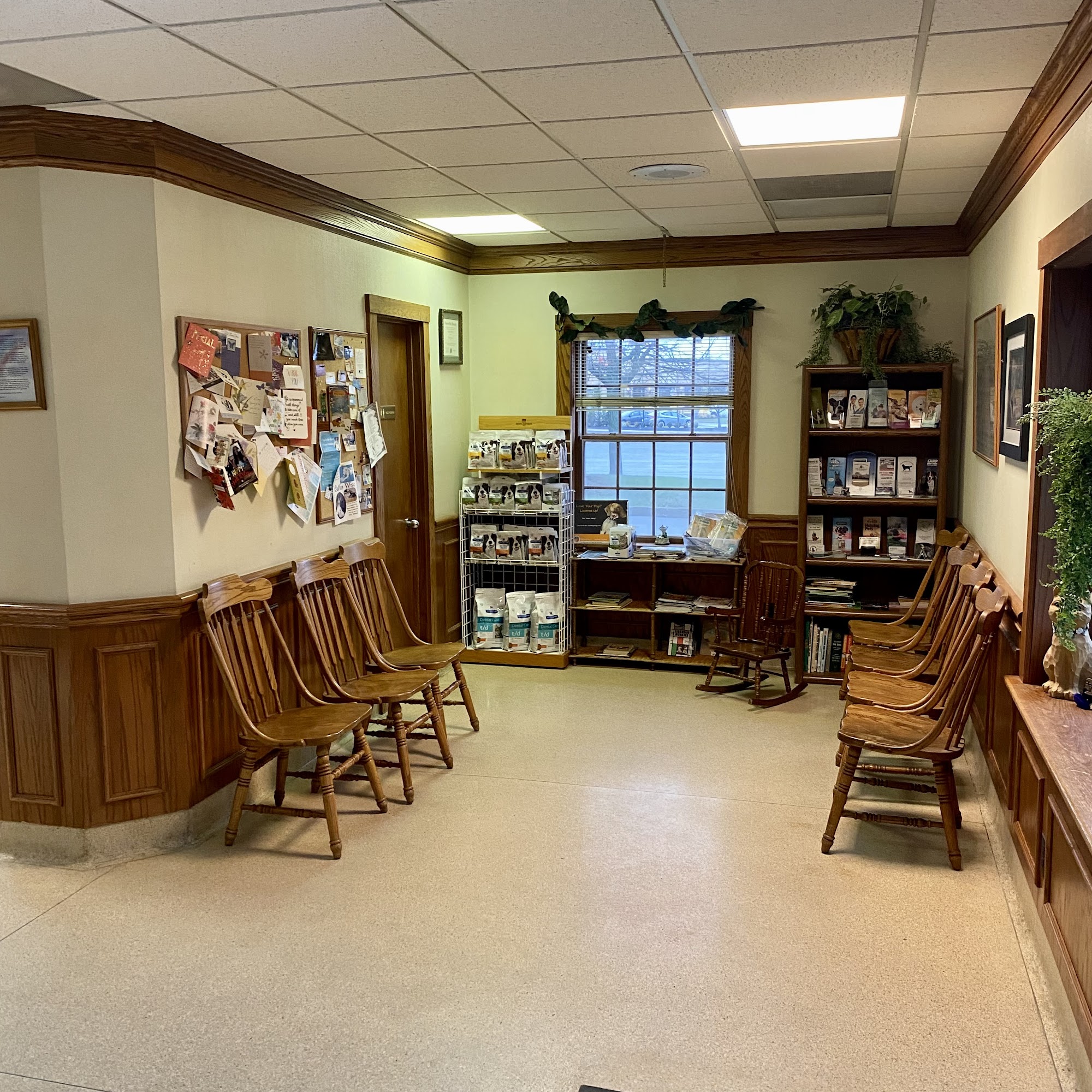 Companion Animal Hospital Solon