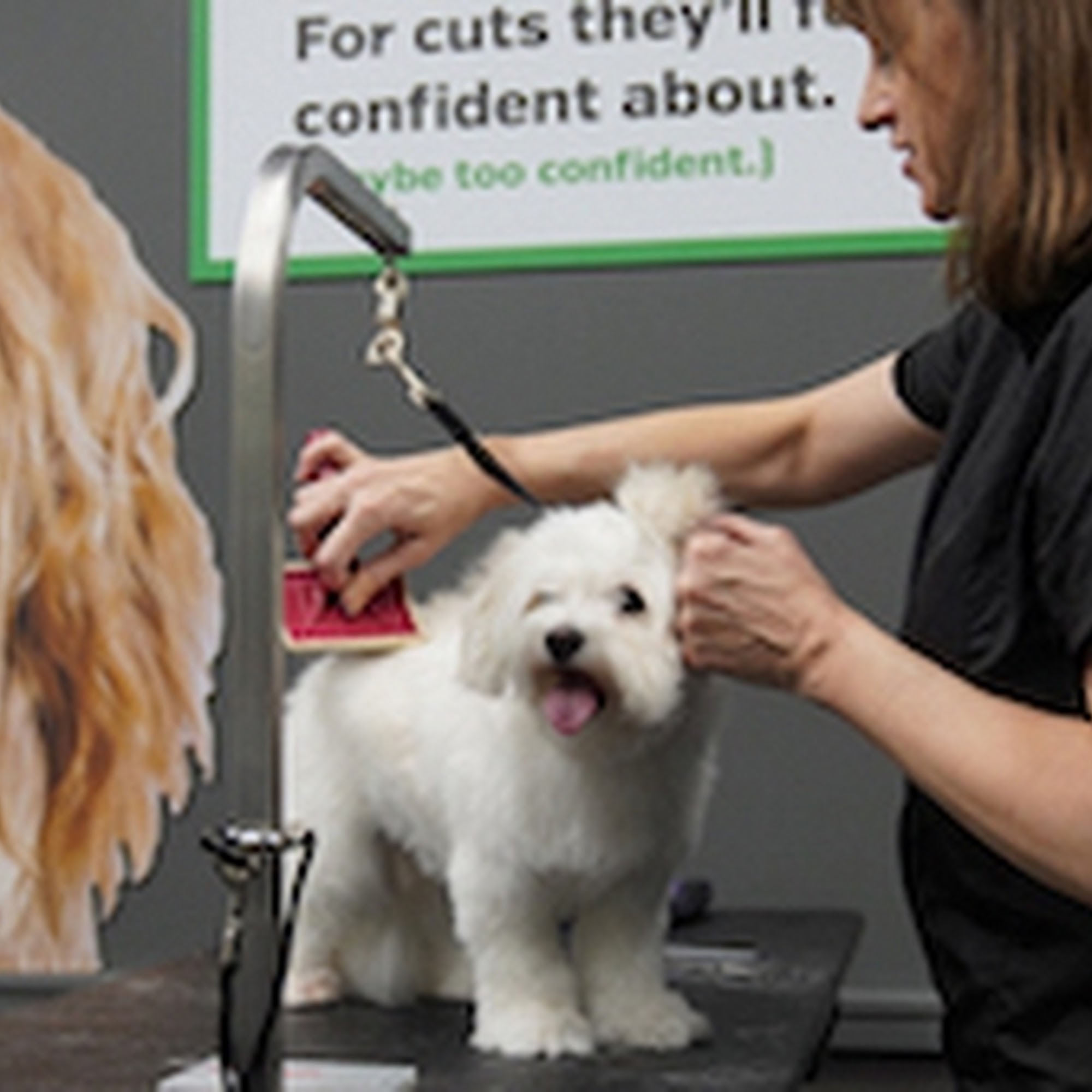 Pet Supplies Plus Solon Solon