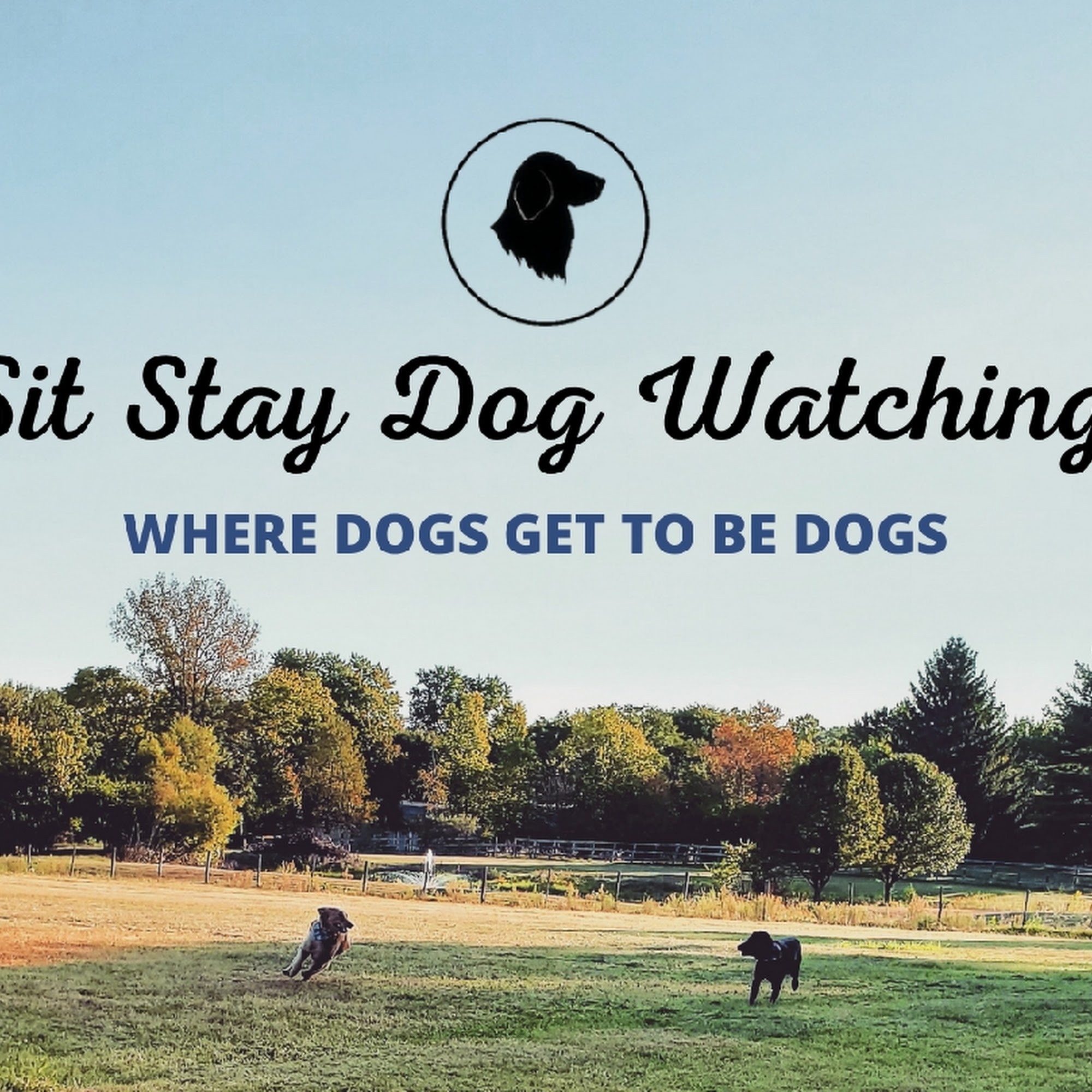 Sit Stay Dog Watching LLC