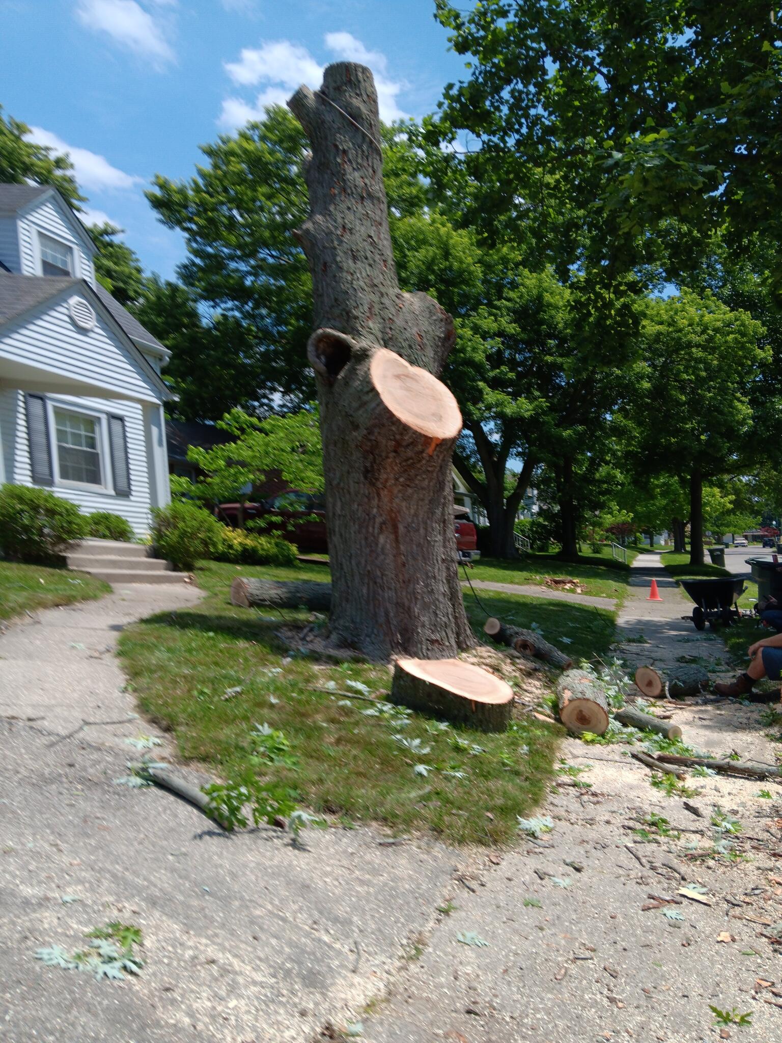 Photo credit: nextdoor