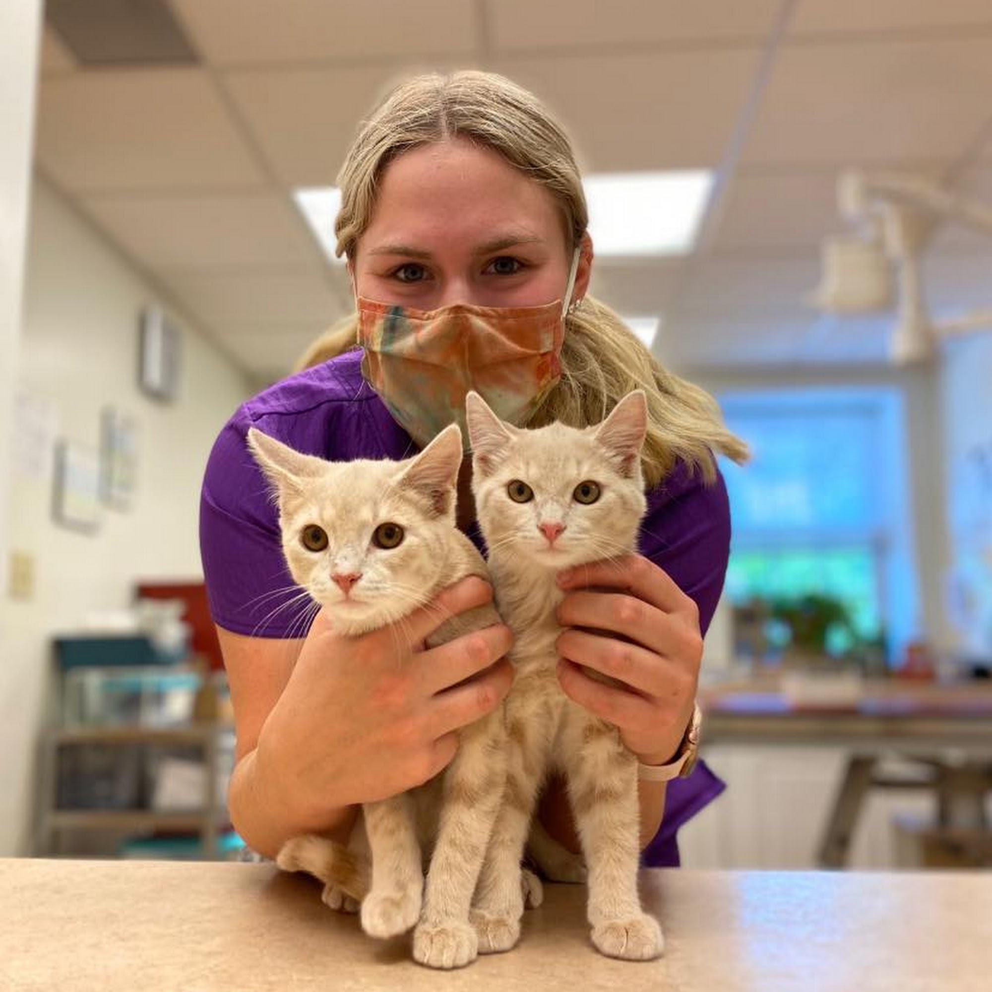 Stow Falls Pet Clinic, Inc. Stow