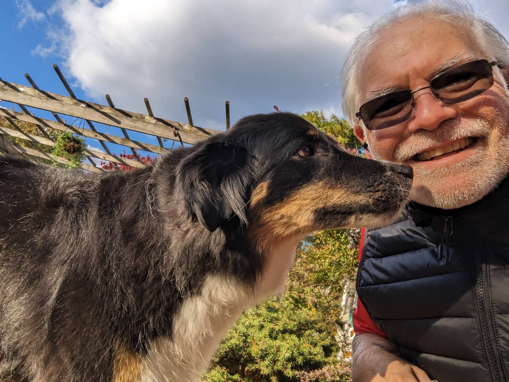 Pet State University & HomeStyle Boarding Streetsboro