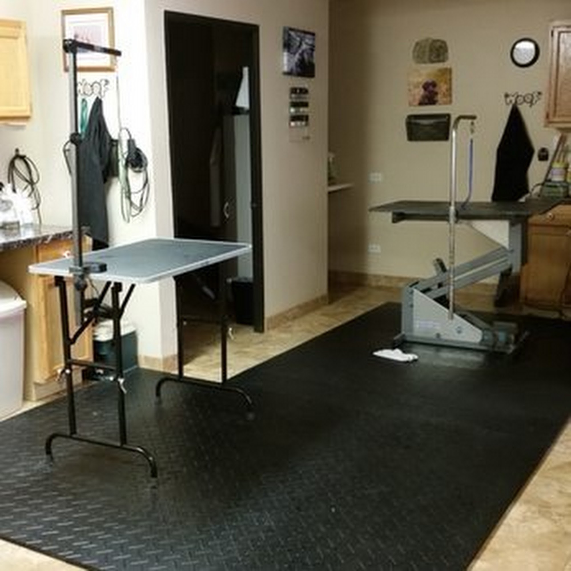 Pampered Pooch Strongsville