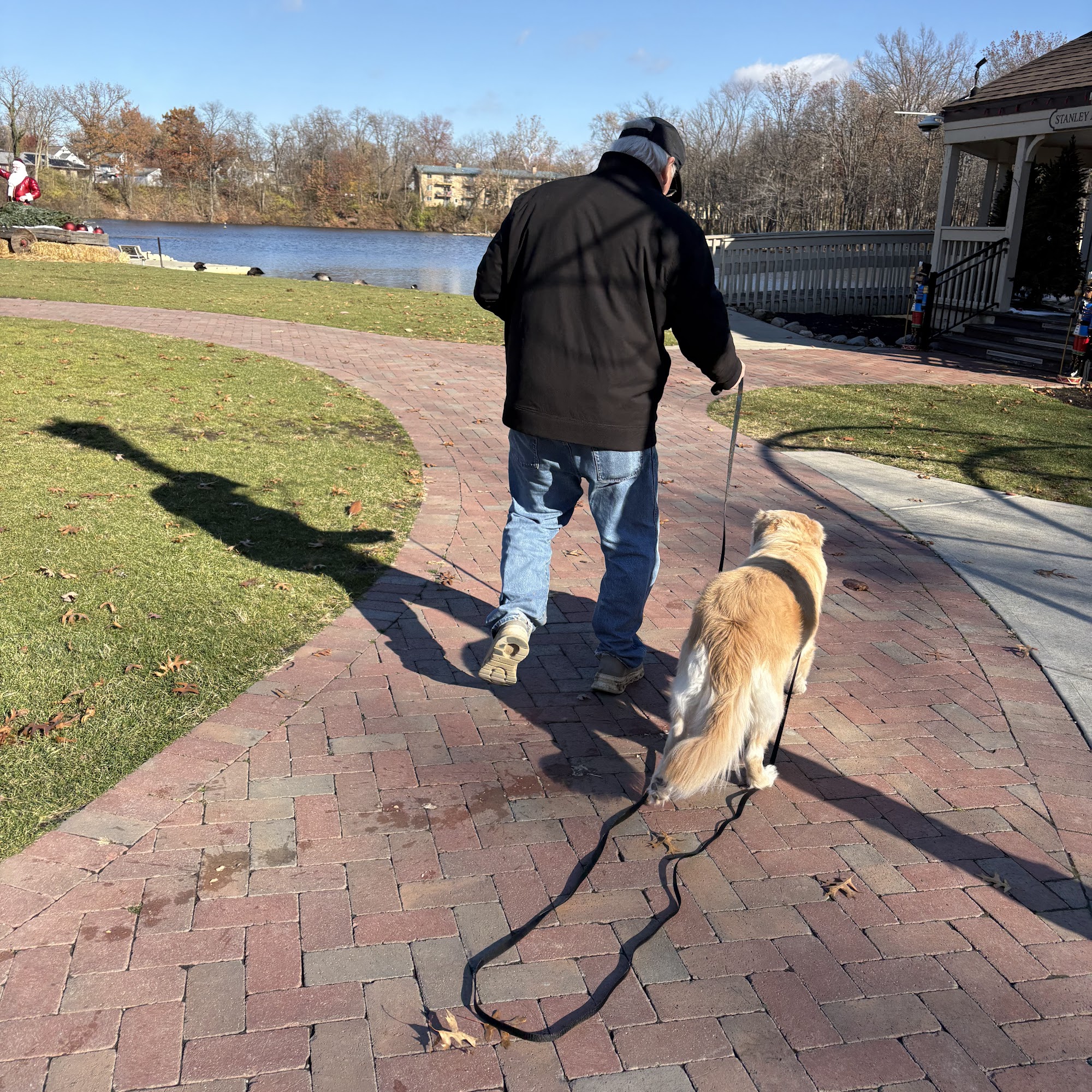 the k9 expert Strongsville