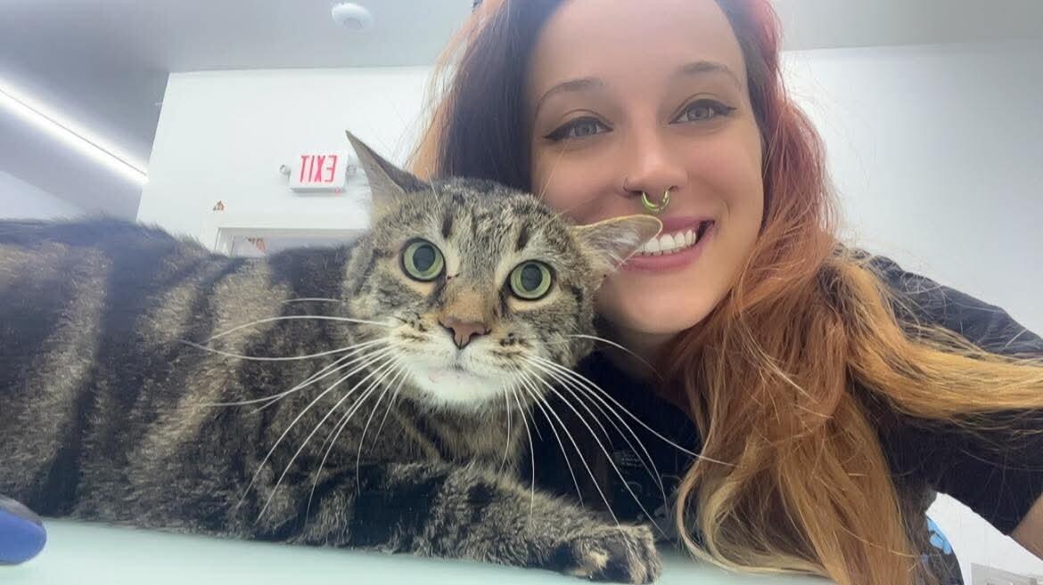 Bubbles and Bows Dog Grooming Sunbury