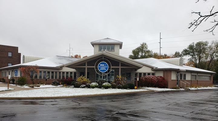 VCA SylvaniaVET Animal Hospital Sylvania