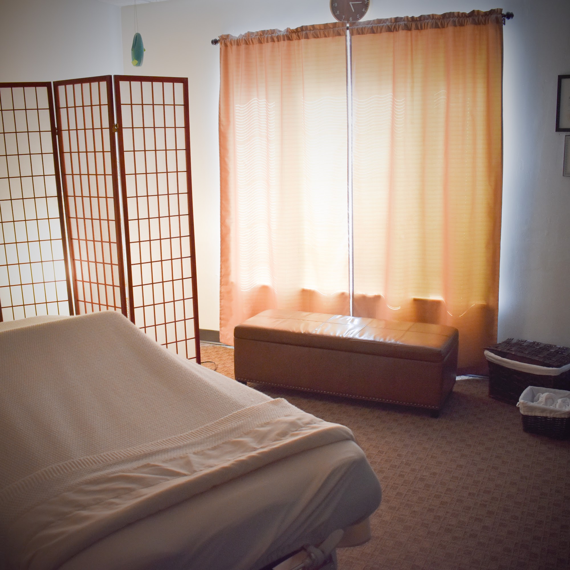 Balance Wellness Spa, LLC 5800 Monroe St e3, Sylvania Ohio 43560