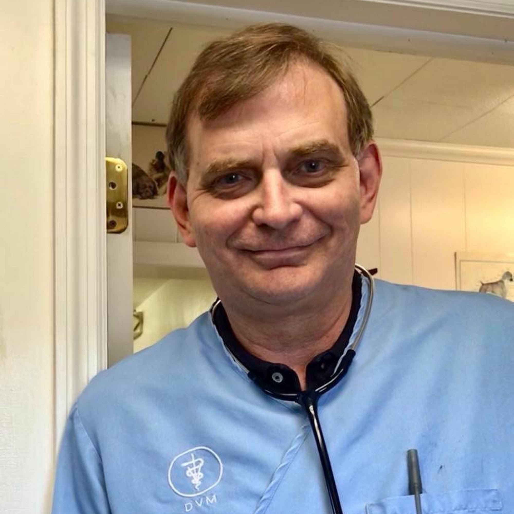 Allen Pet Clinic Ltd The Plains