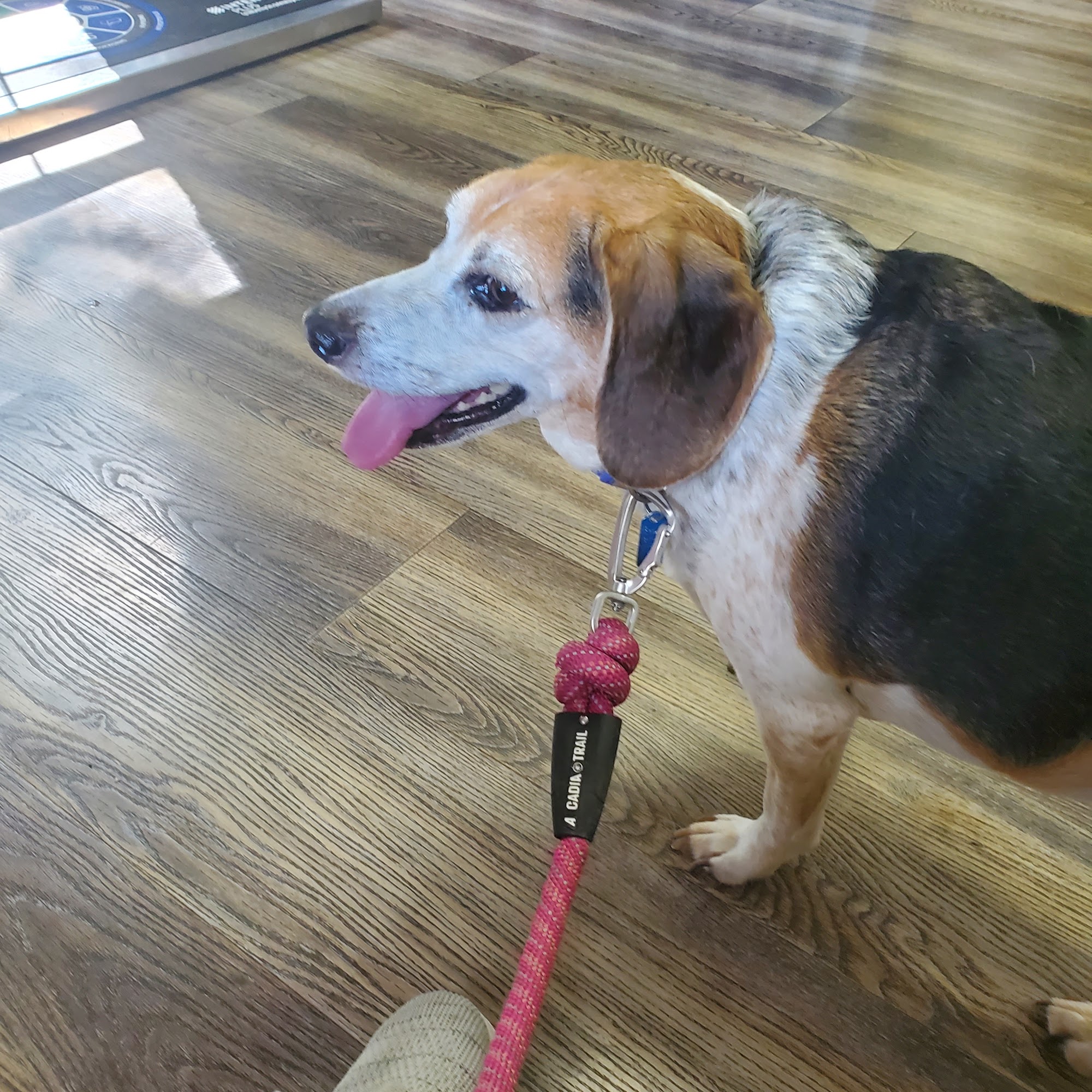 Edenwood Veterinary Clinic Tiffin