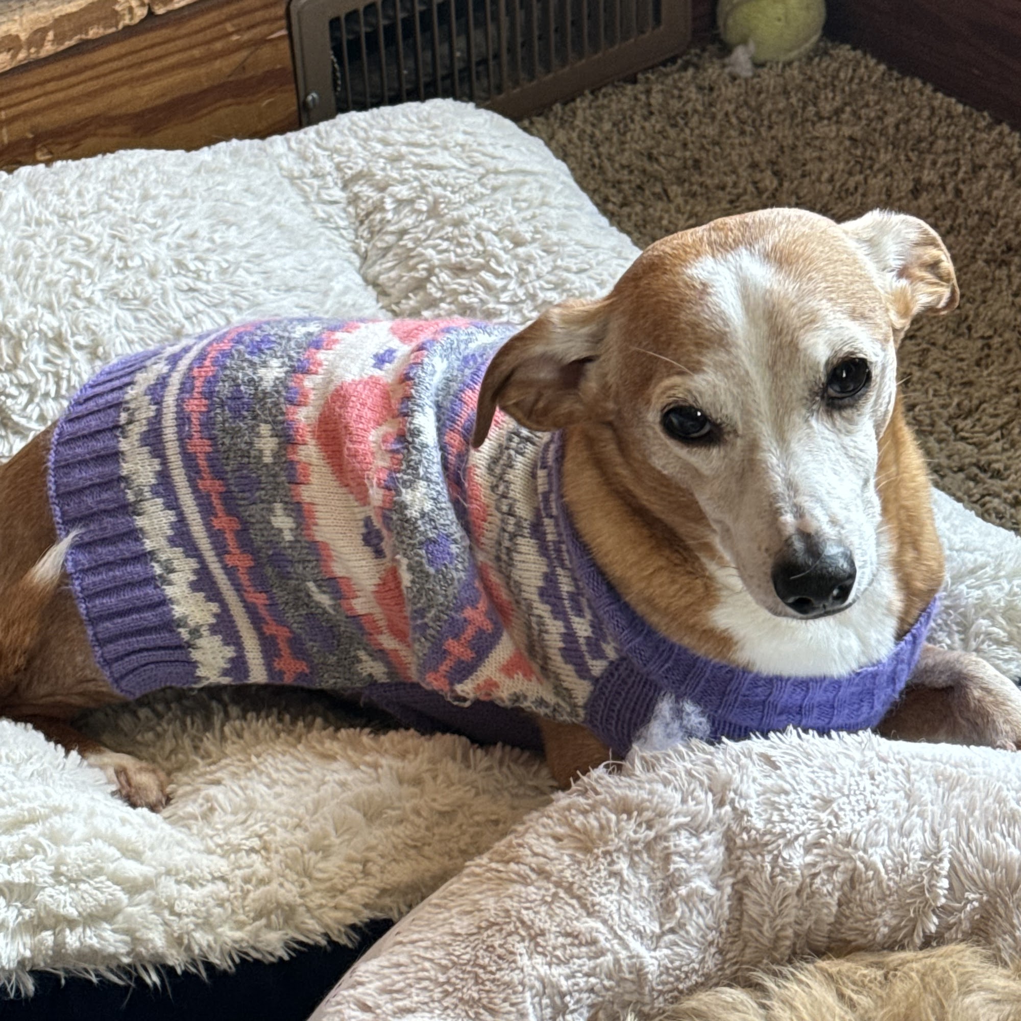 Animal Hospital of Tiffin LLC Tiffin