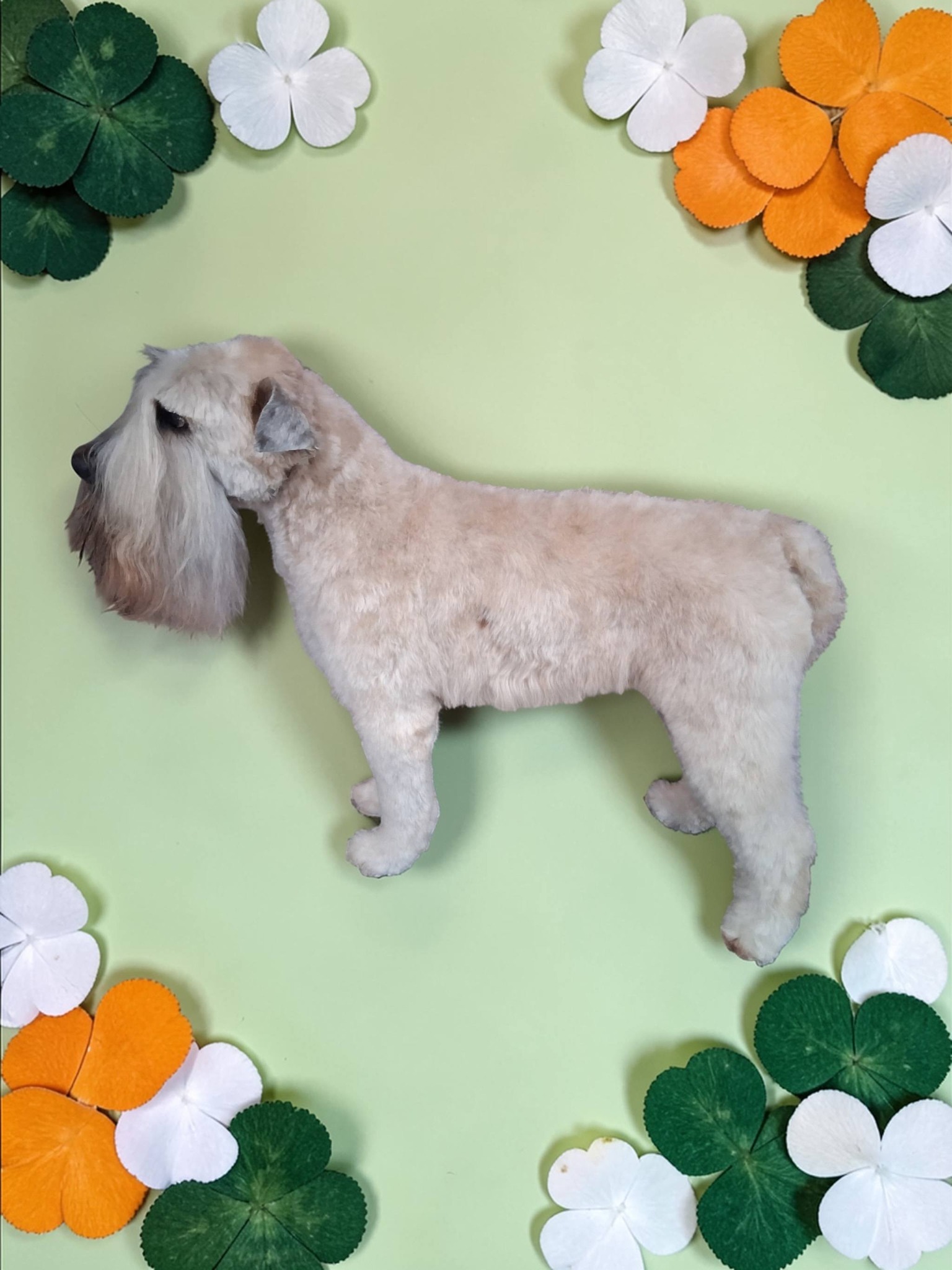 Let the Fur Fly Pet Salon Toledo