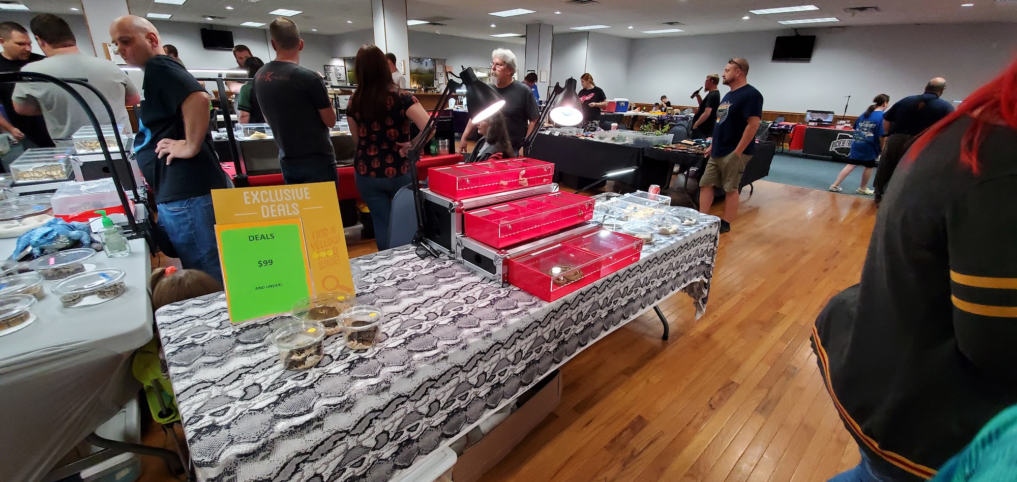 Glass City Exotics Expo Toledo