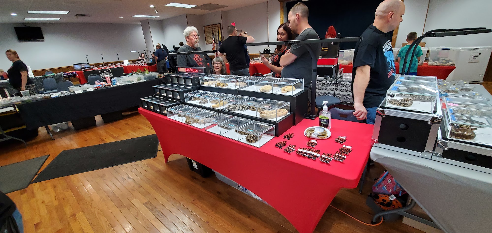 Glass City Exotics Expo Toledo