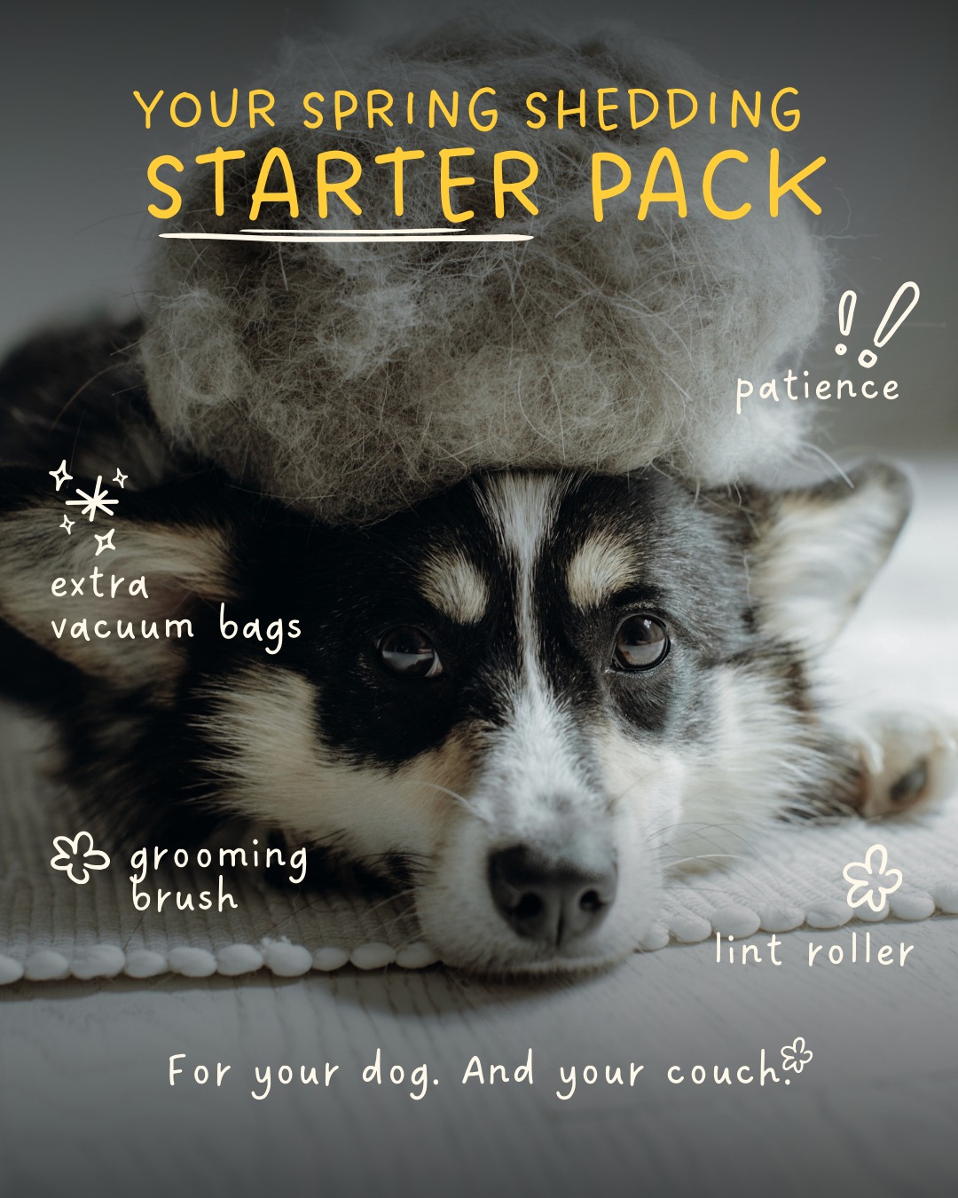 Green Valley Veterinary Care Troy