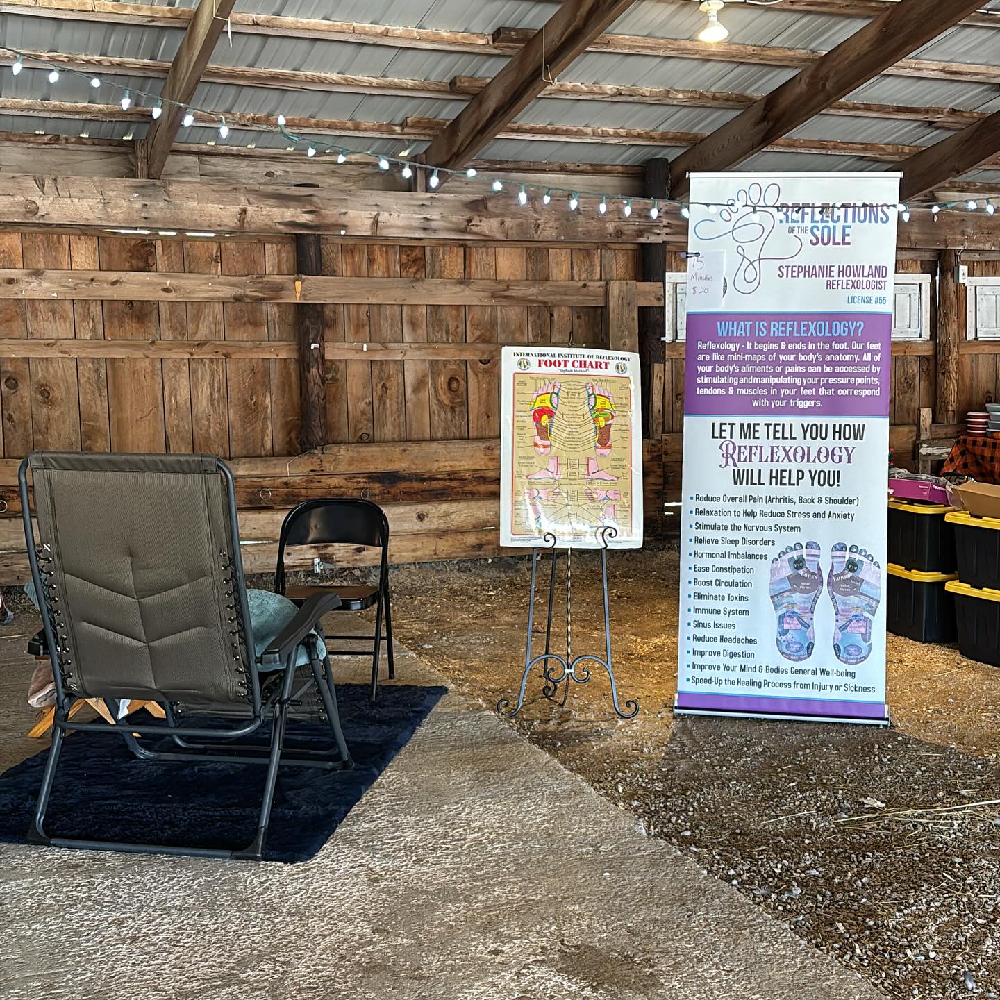 Reflexions of the Sole