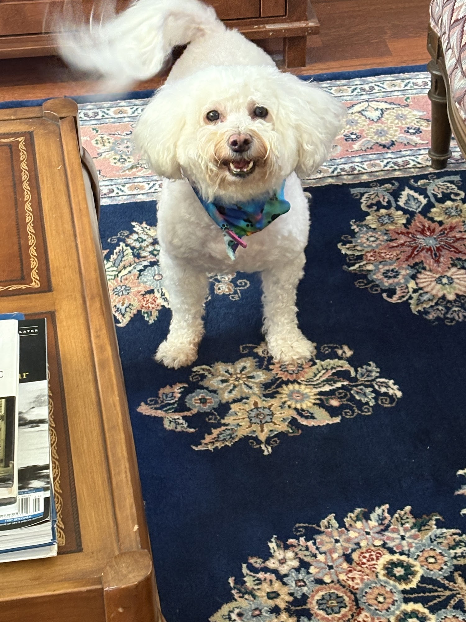 PetPeople by Hollywood Feed University Heights