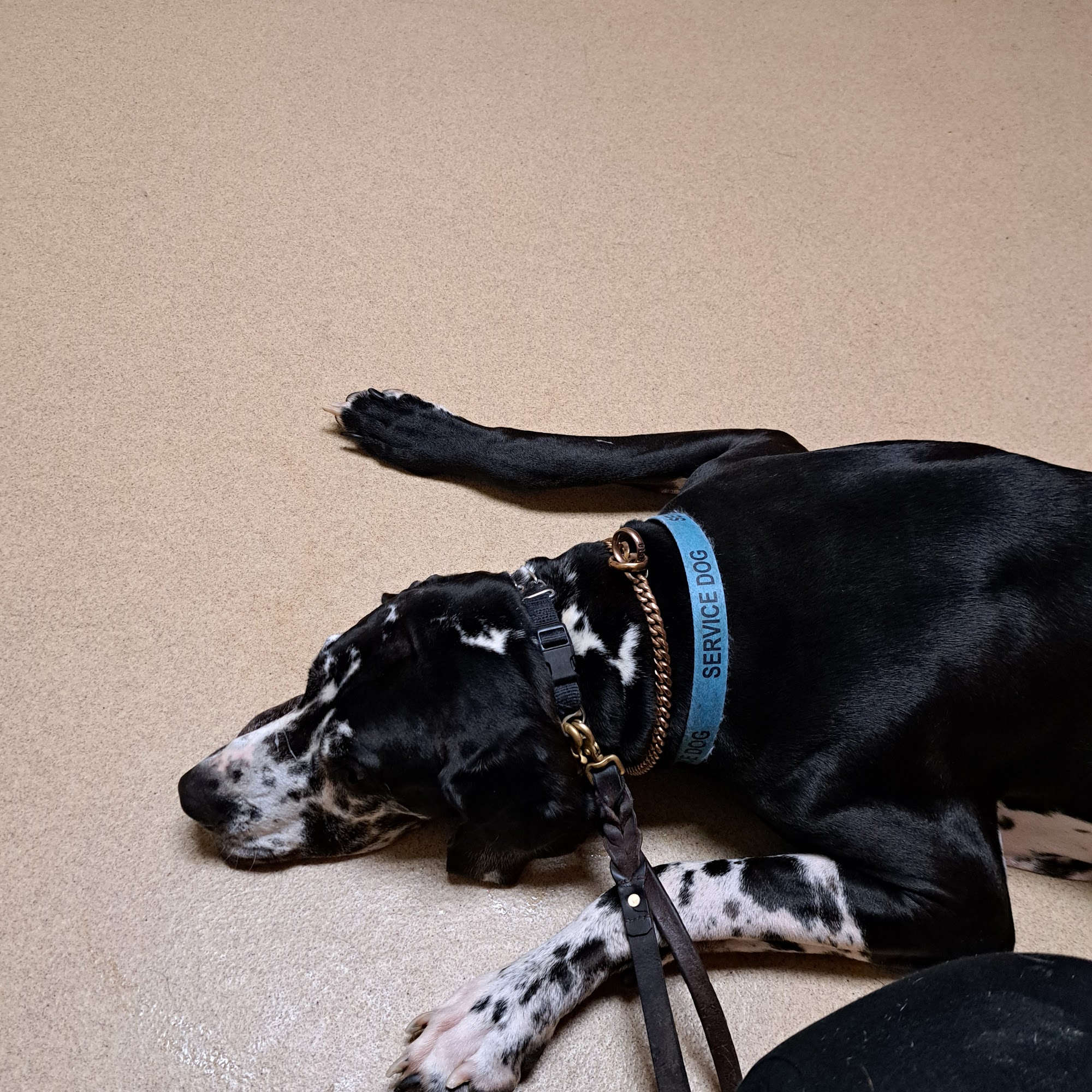 Lincoln Way Animal Hospital Upper Sandusky