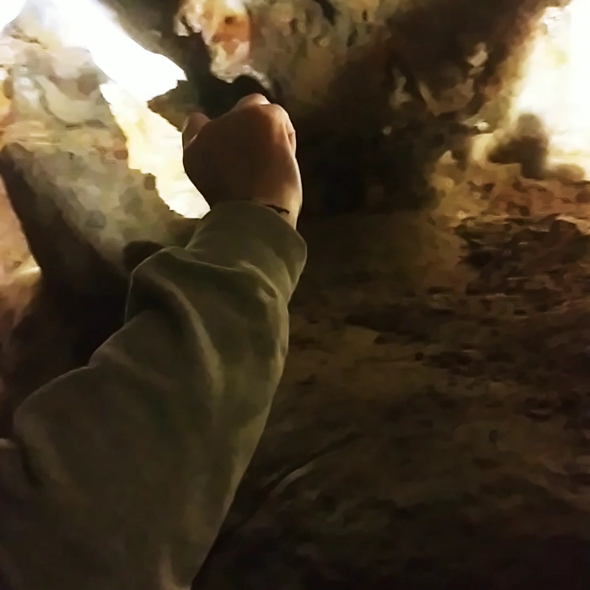 The Farmer's Daughter Urbana