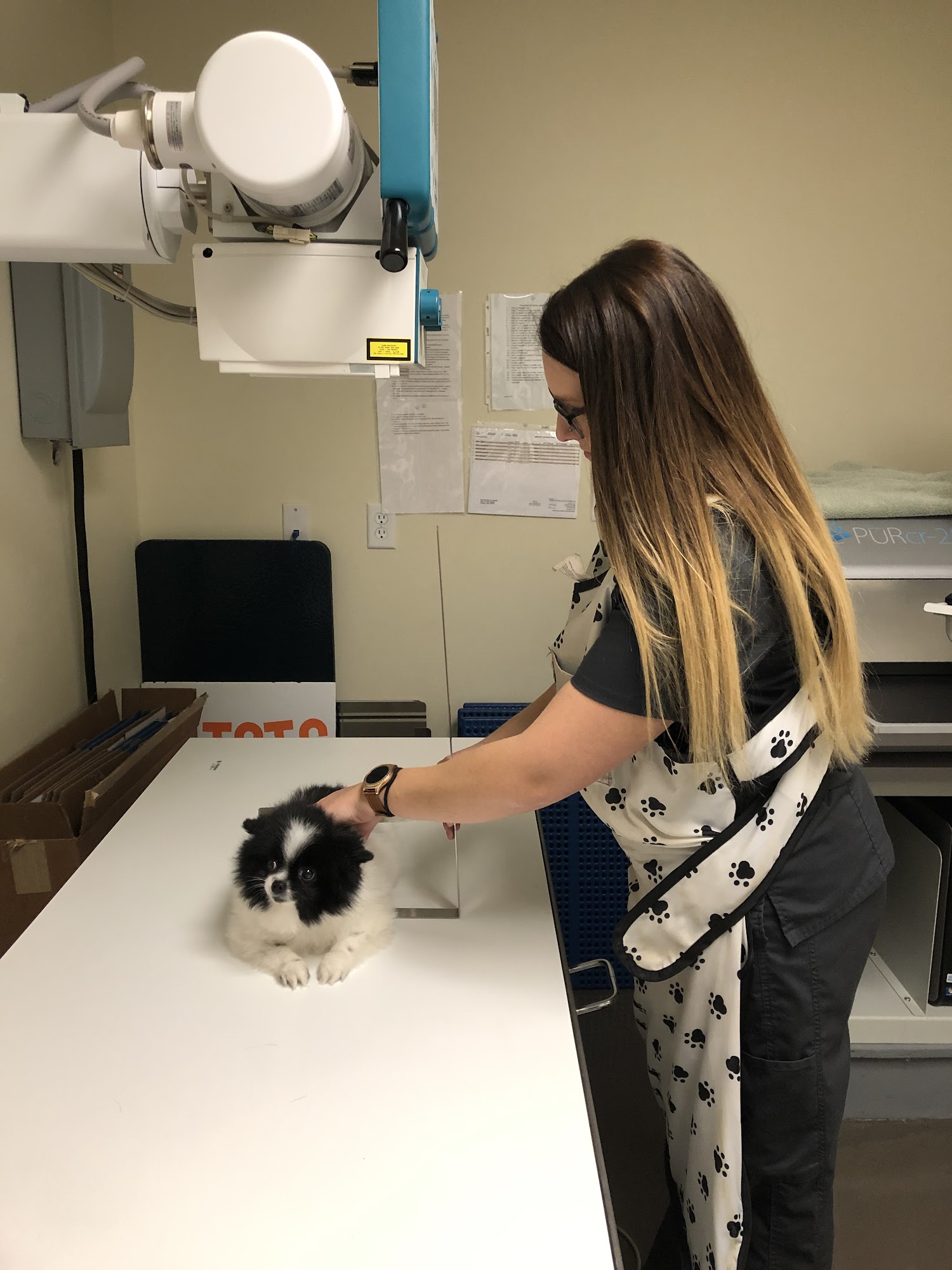 The Pet Clinic of Urbana Urbana