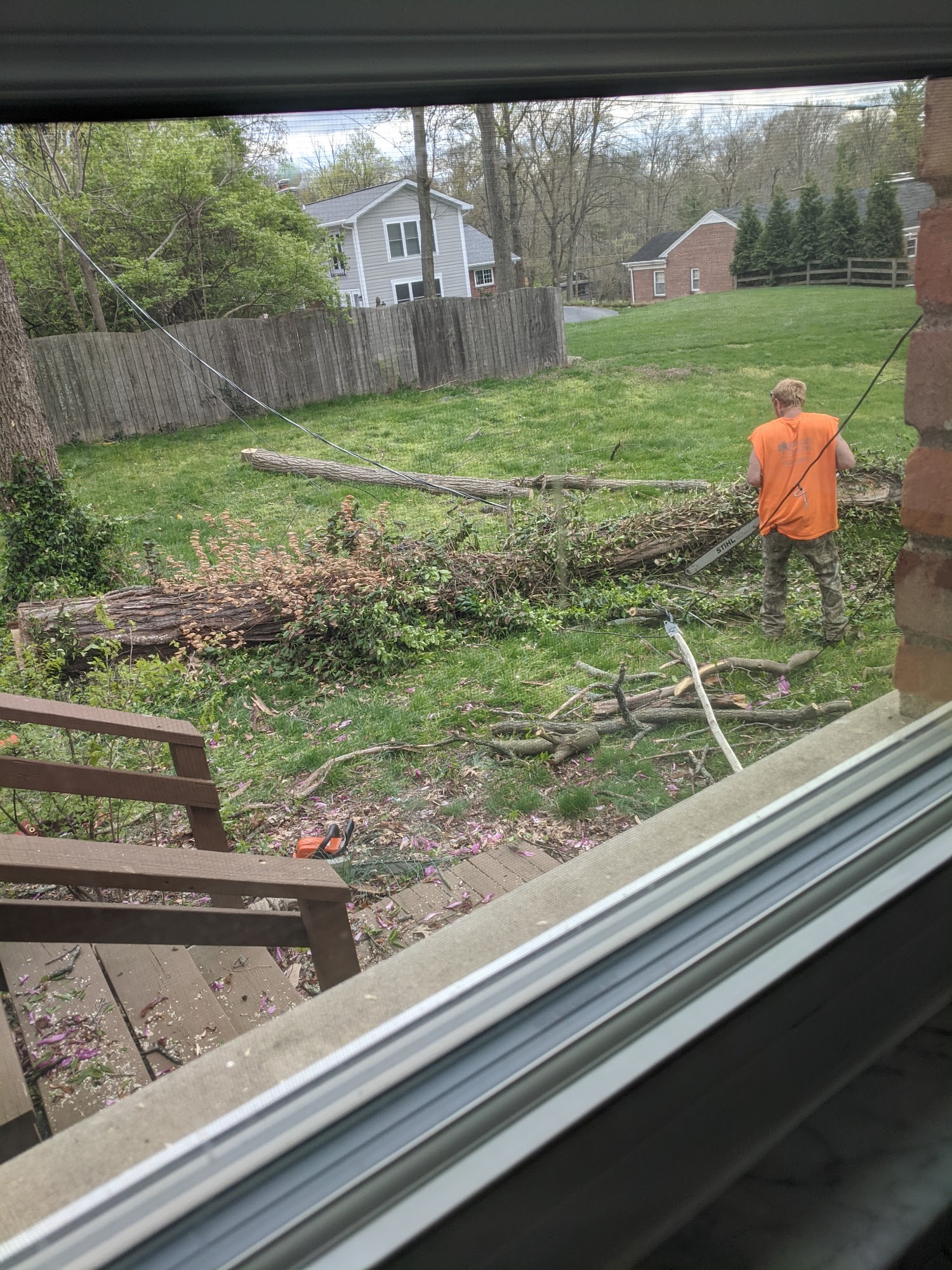 Ohio Valley Forestry Pros