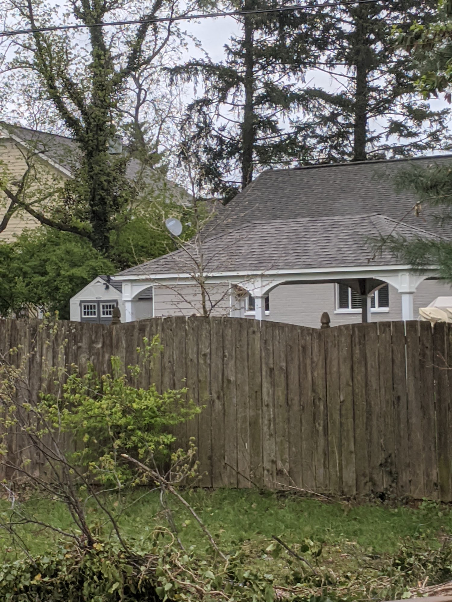 Ohio Valley Forestry Pros