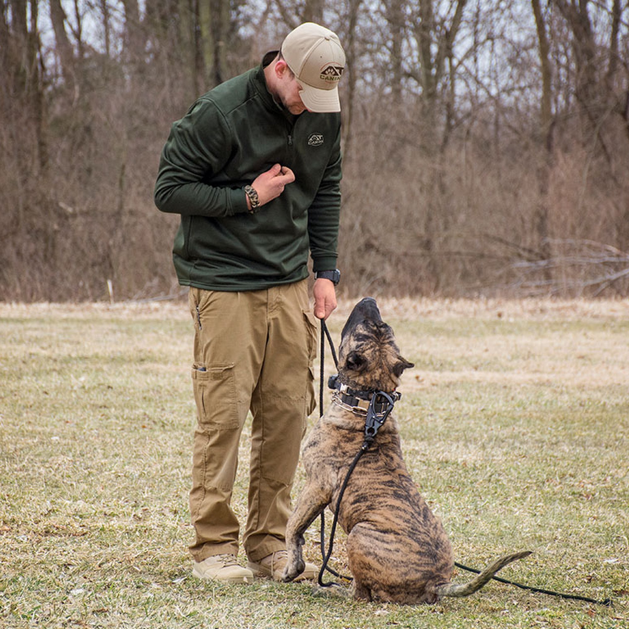 A.T. Canine LLC Vandalia