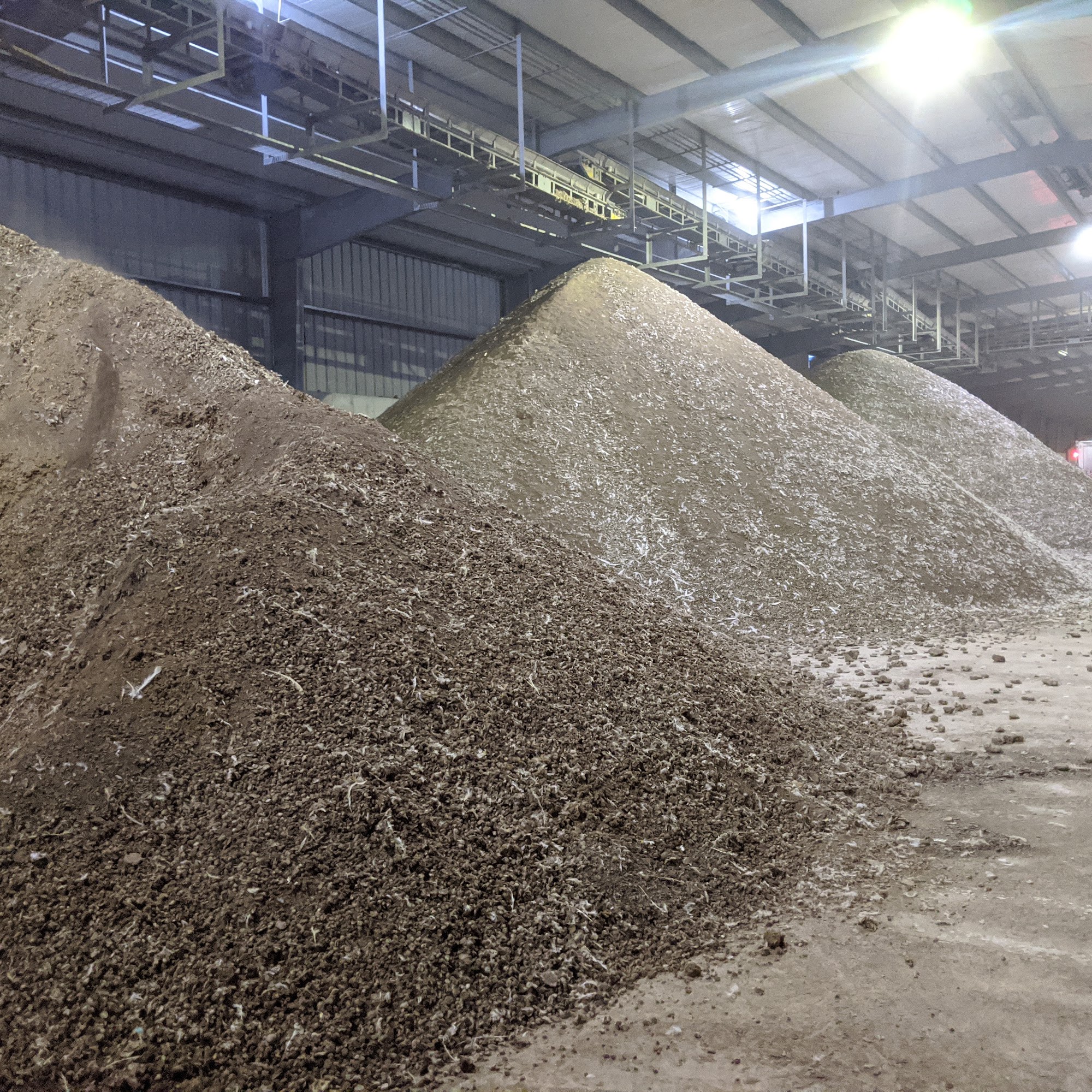 A1 Weaver Brothers Farm Versailles