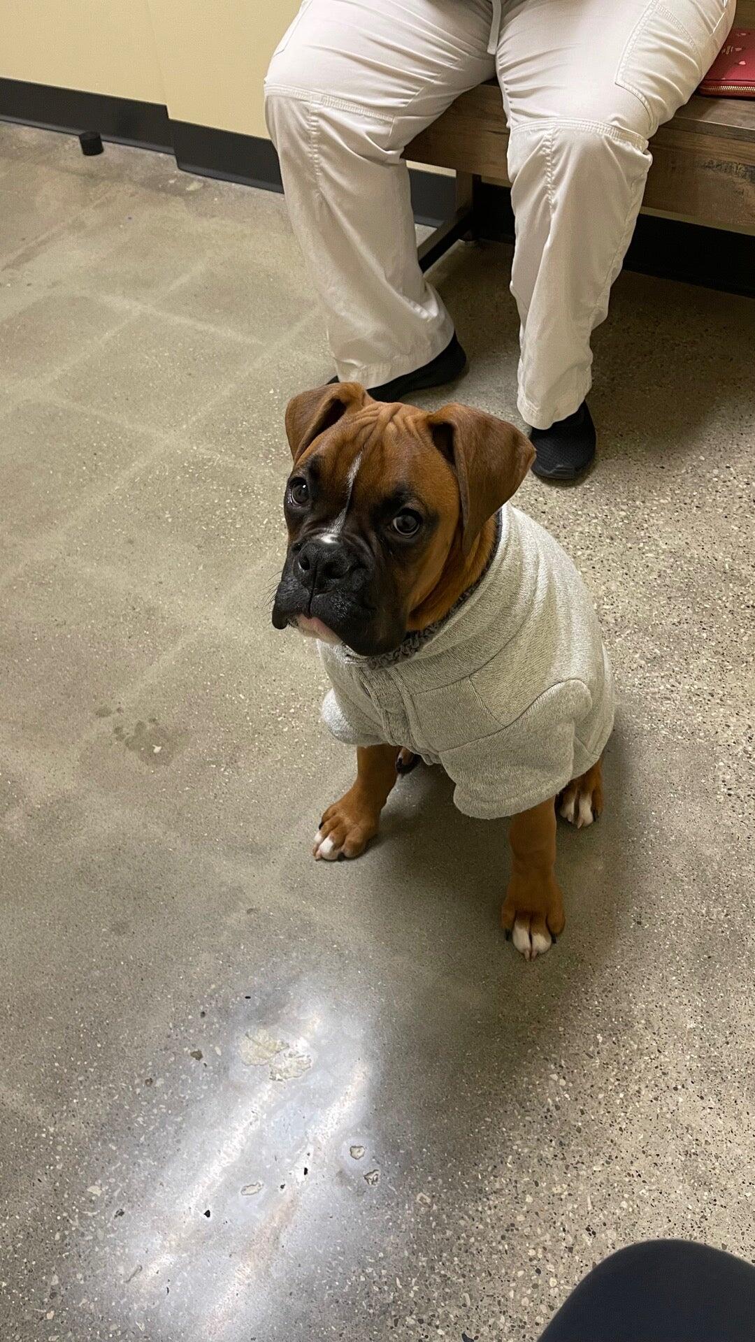 Photo credit: nextdoor