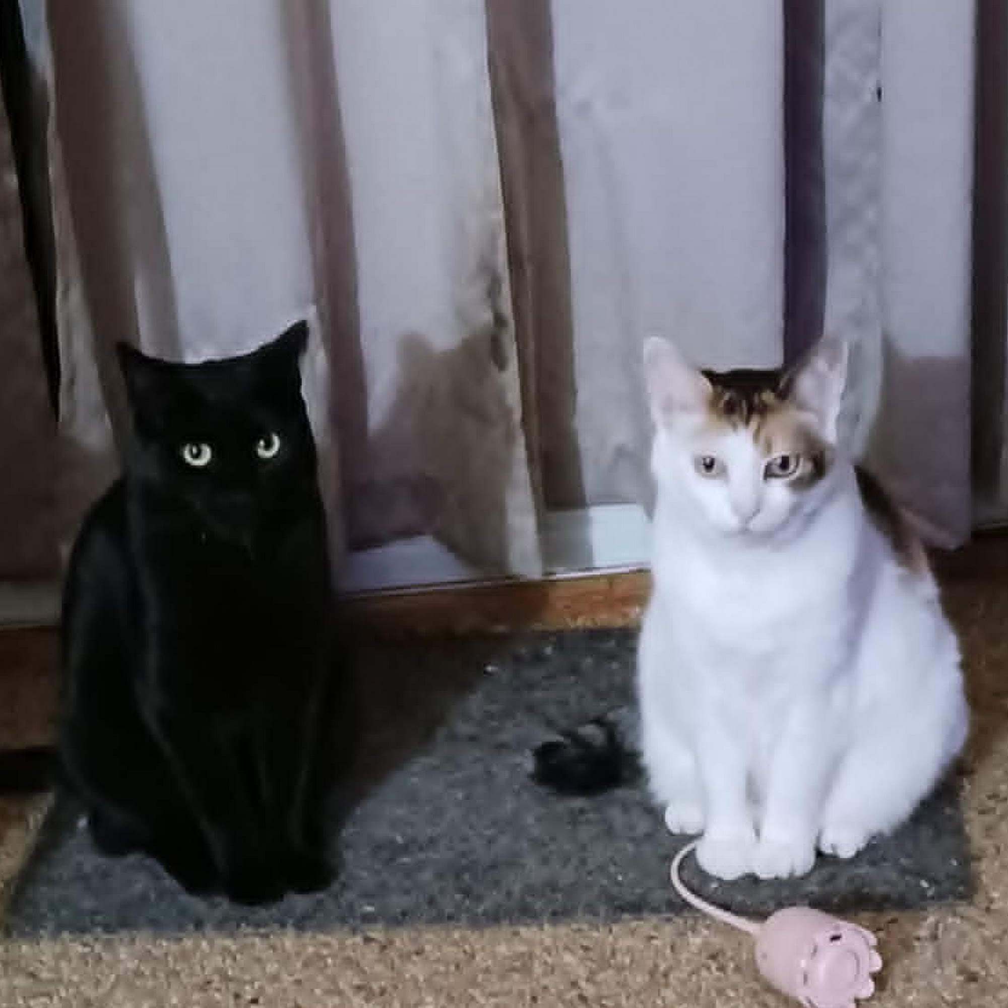 Brian & Rosemarys Tax Service and Bookkeeping