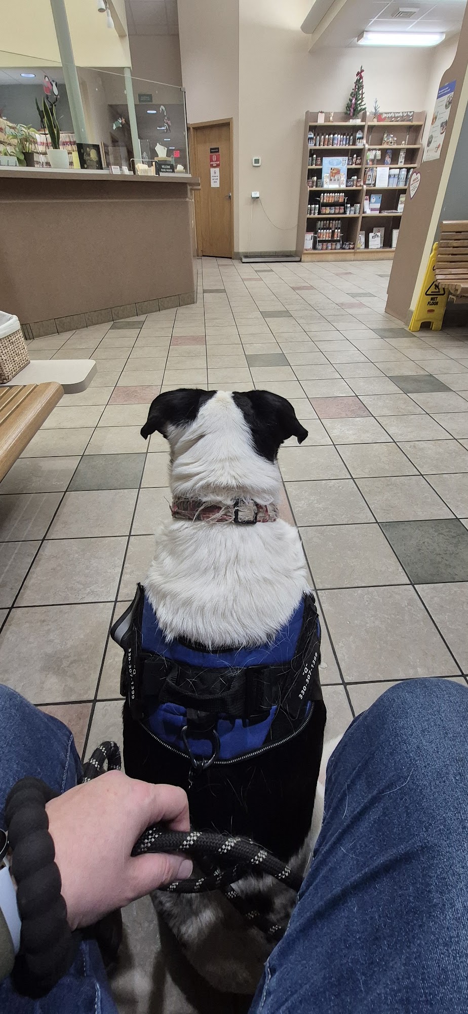 Town & Country Veterinary Hospital Warren