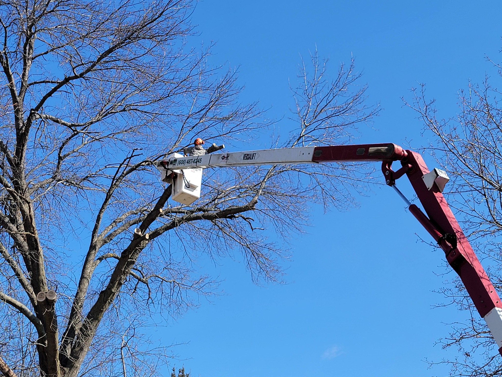 Miller's Tree Service