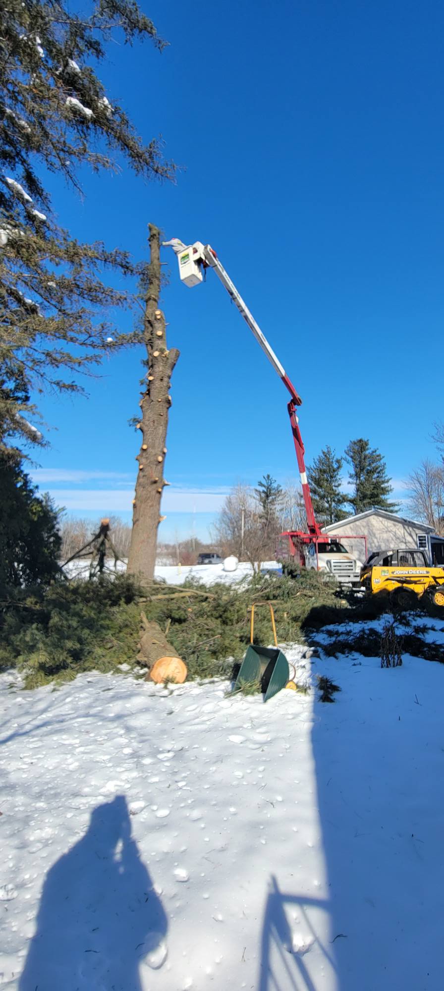 Miller's Tree Service