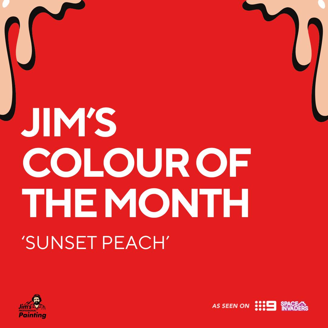 Jim's Professional Painting