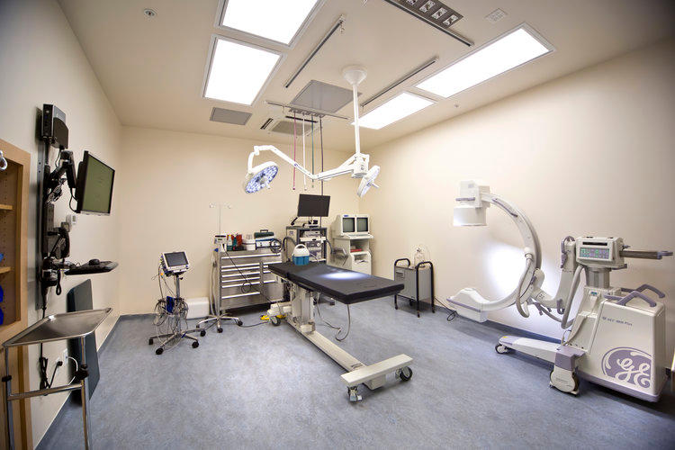 VCA Great Lakes Veterinary Specialists Warrensville Heights