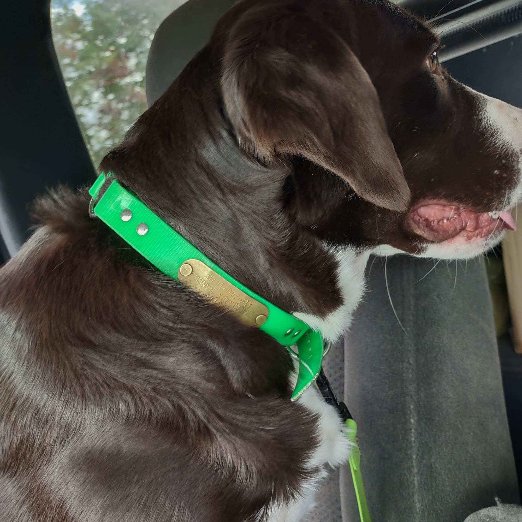 Countryside Animal Clinic Wauseon