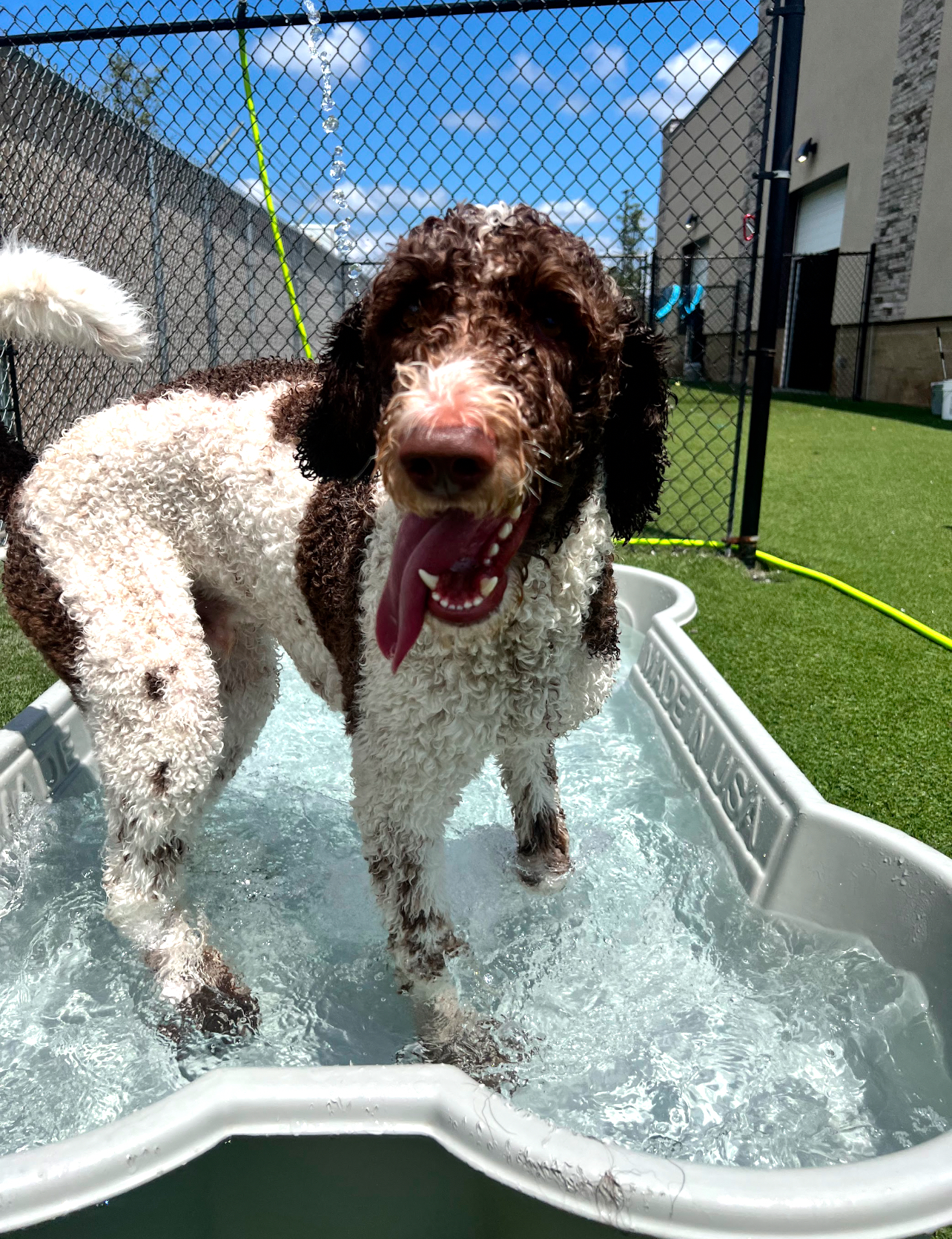 Pet Palace - West Chester West Chester