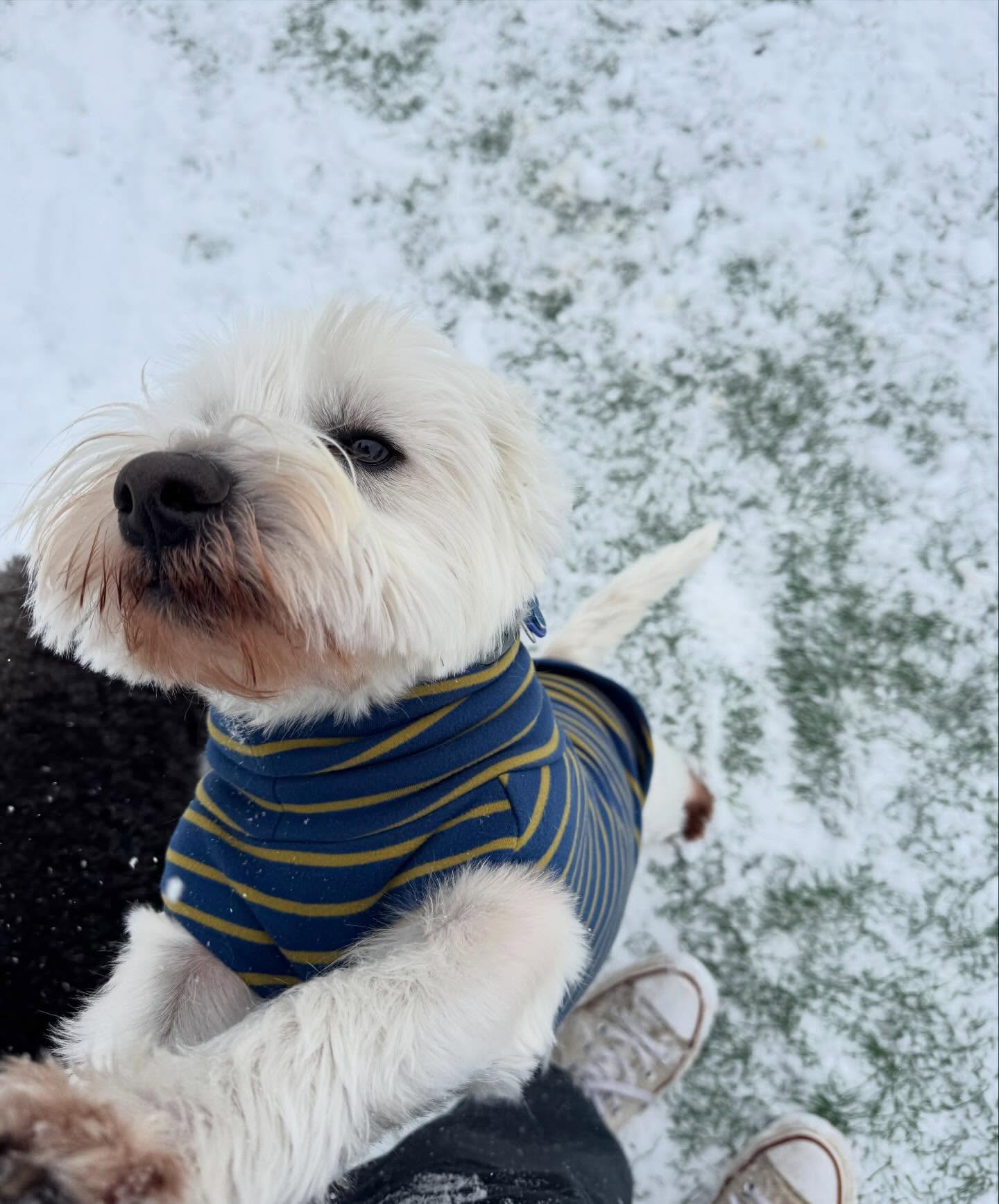 Play All Day Westerville