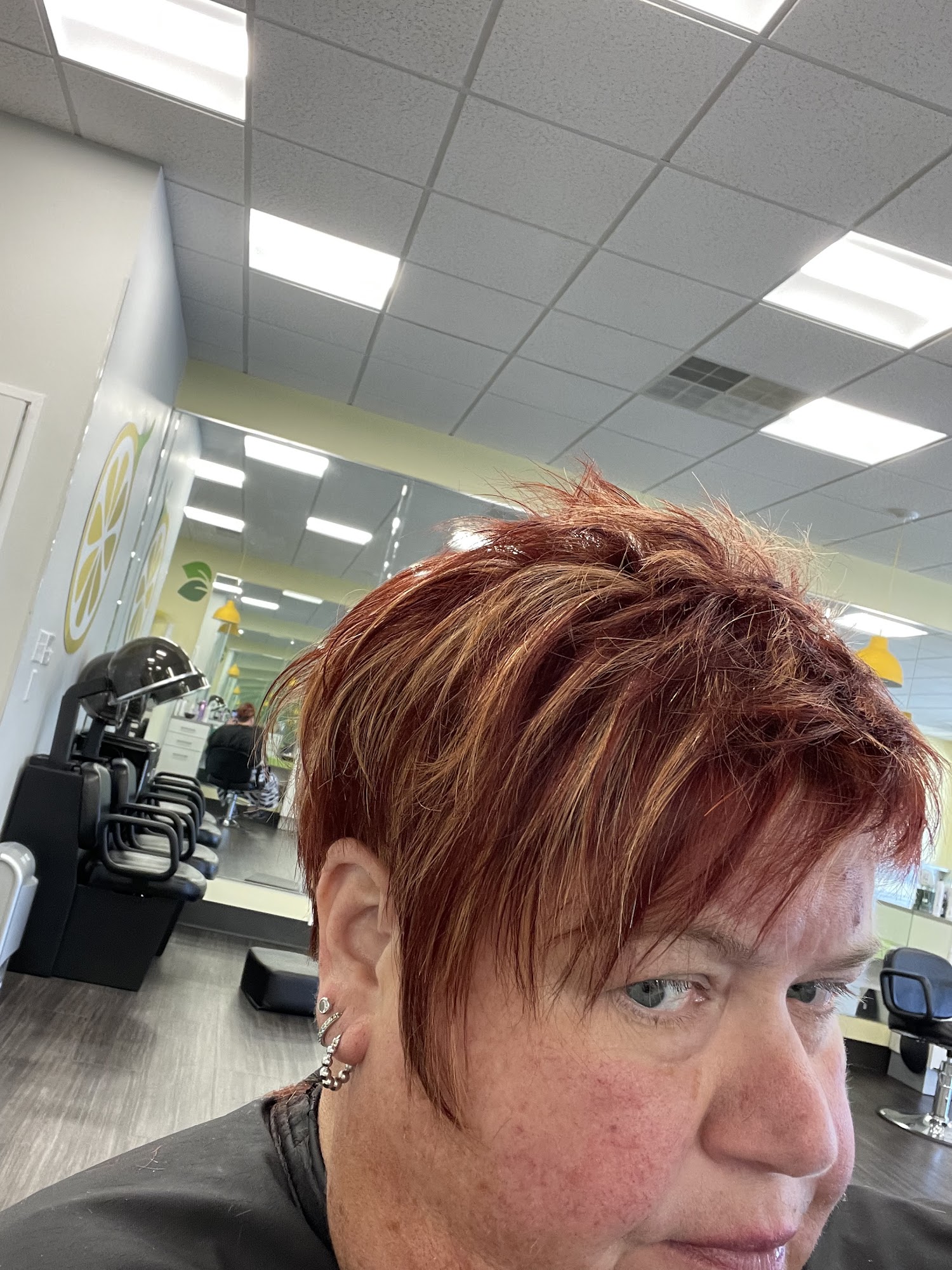 Lemon Tree Hair Salon of Westerville