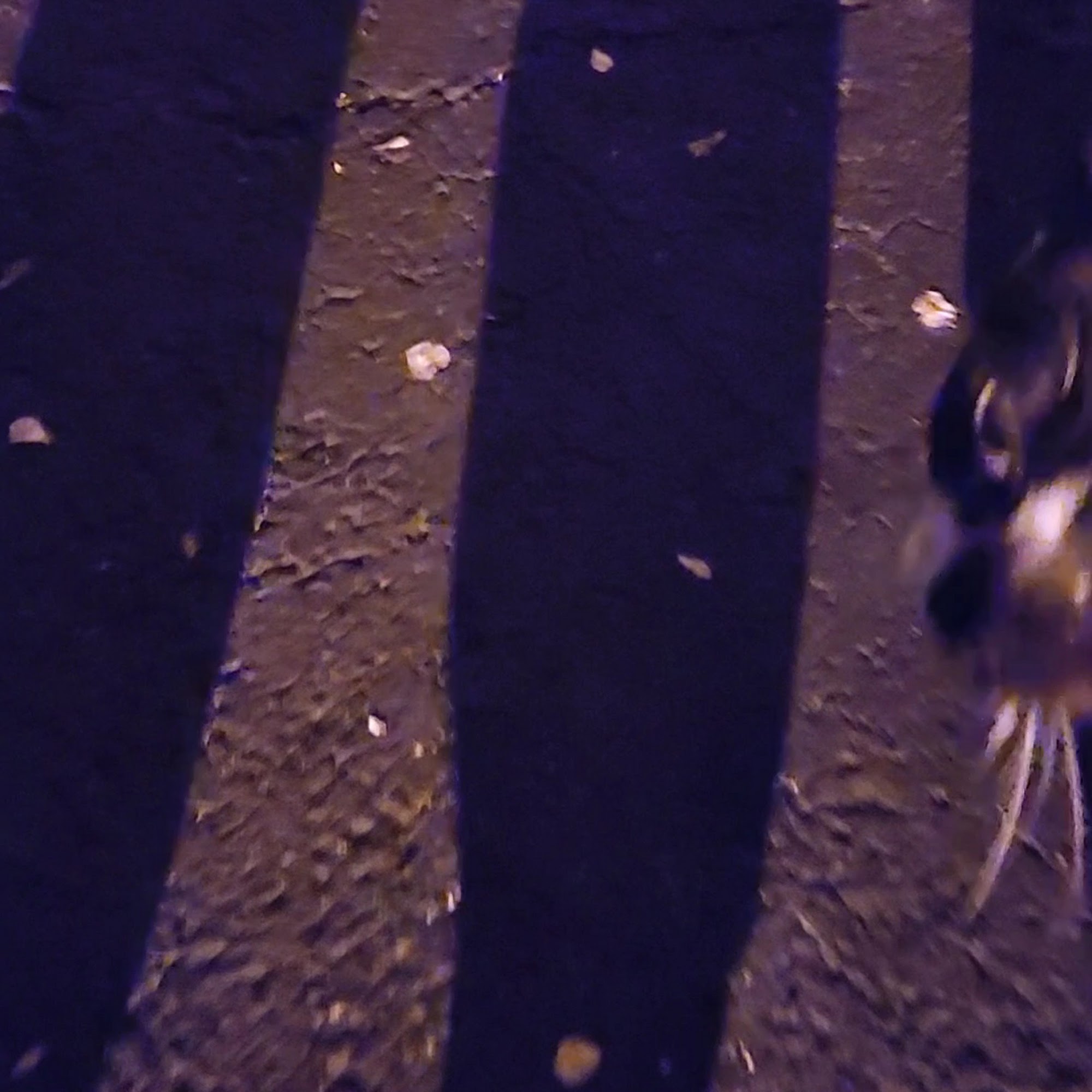 Firehouse Grille & Pub Willoughby