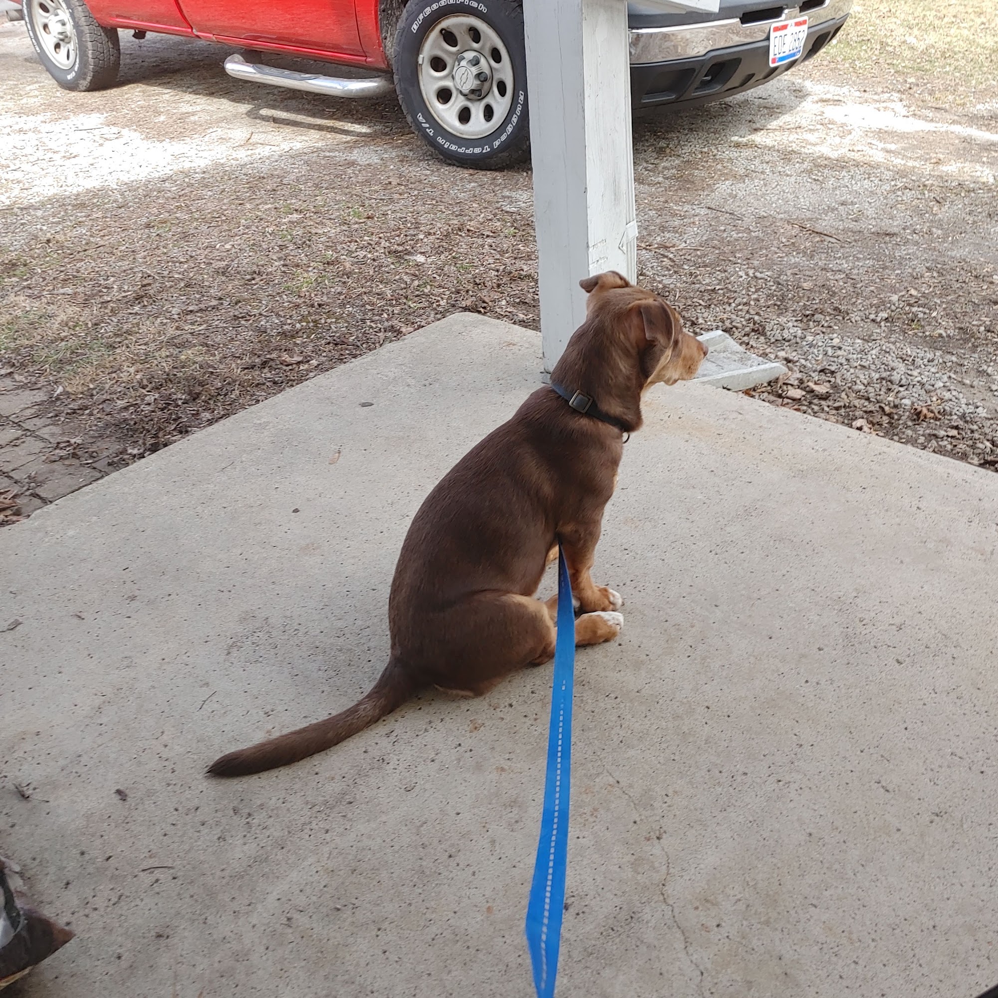 Wilmington Animal Clinic Wilmington