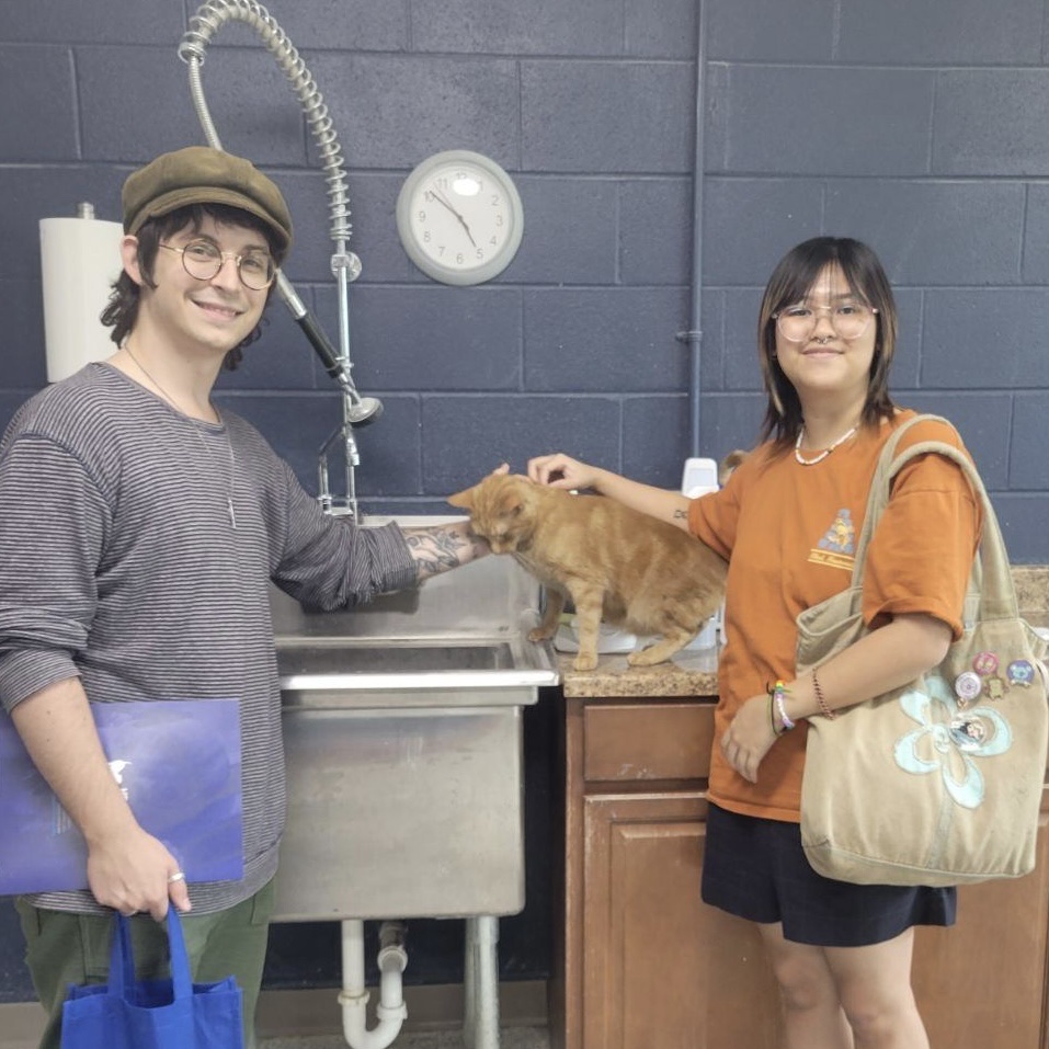 PAWS Humane Society, Inc. Wilmington