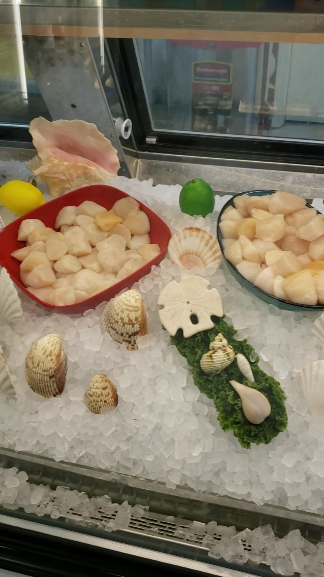 BayLobsters Café & Fish Market Wooster